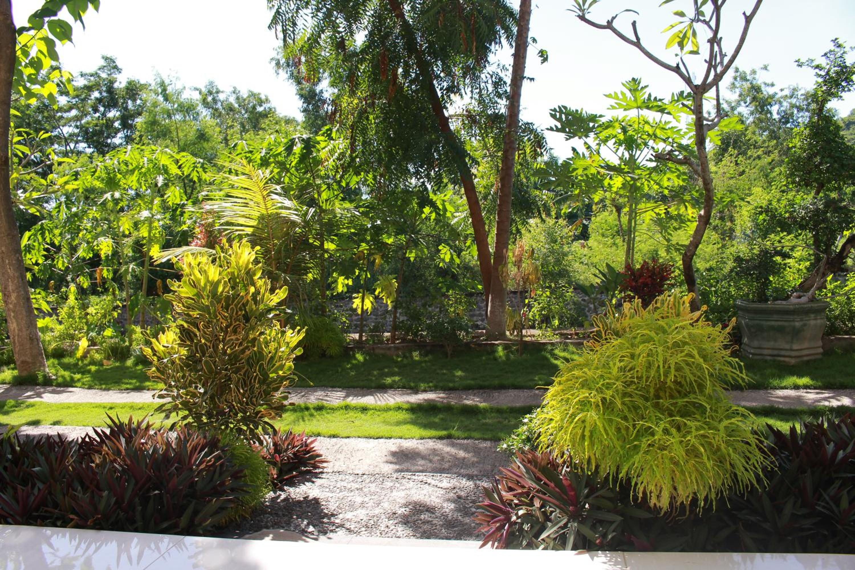 Taman Padi Villa