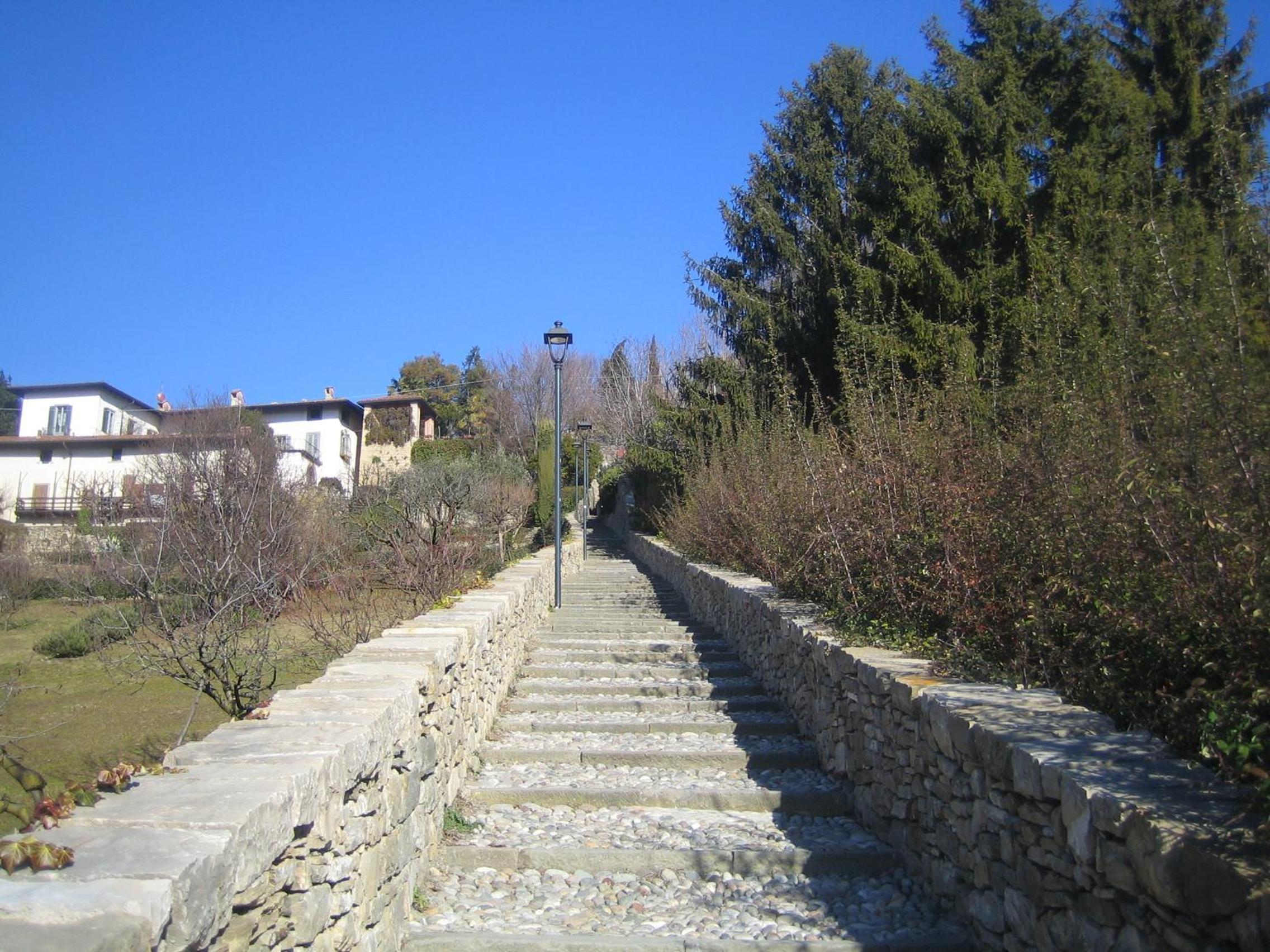 Photo 53