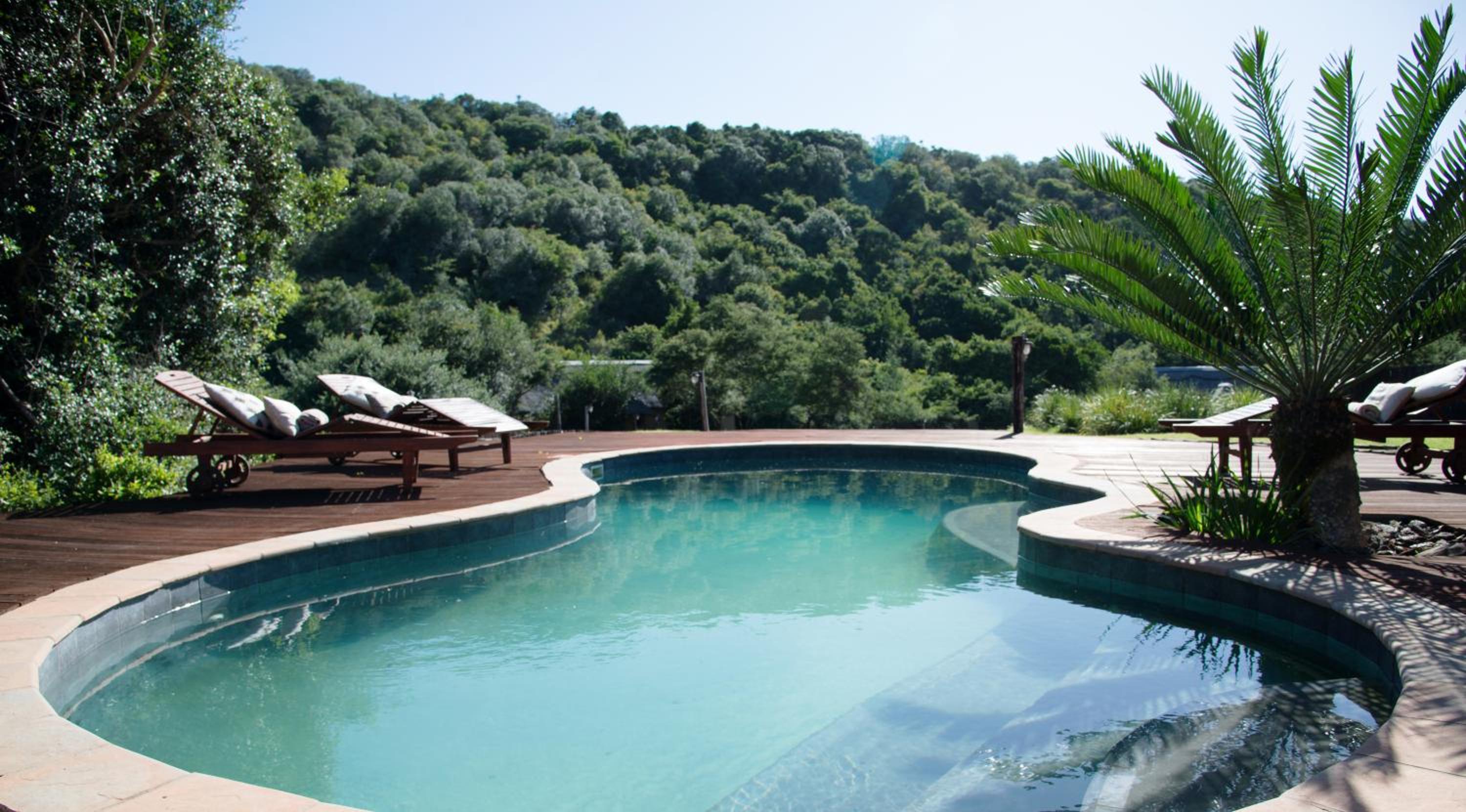 Photo 60