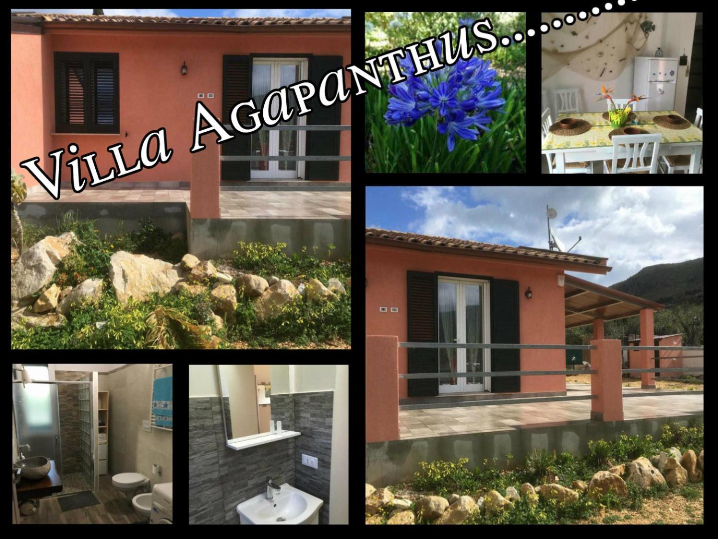 Villa Agapanthus view 4