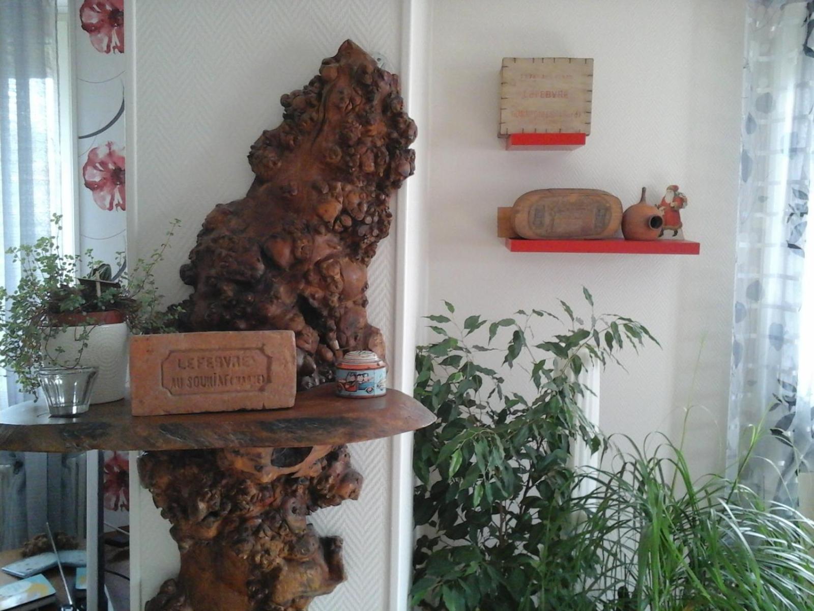 Chez Evelyne chambre d'hôtes chez l'habitant, photo 3