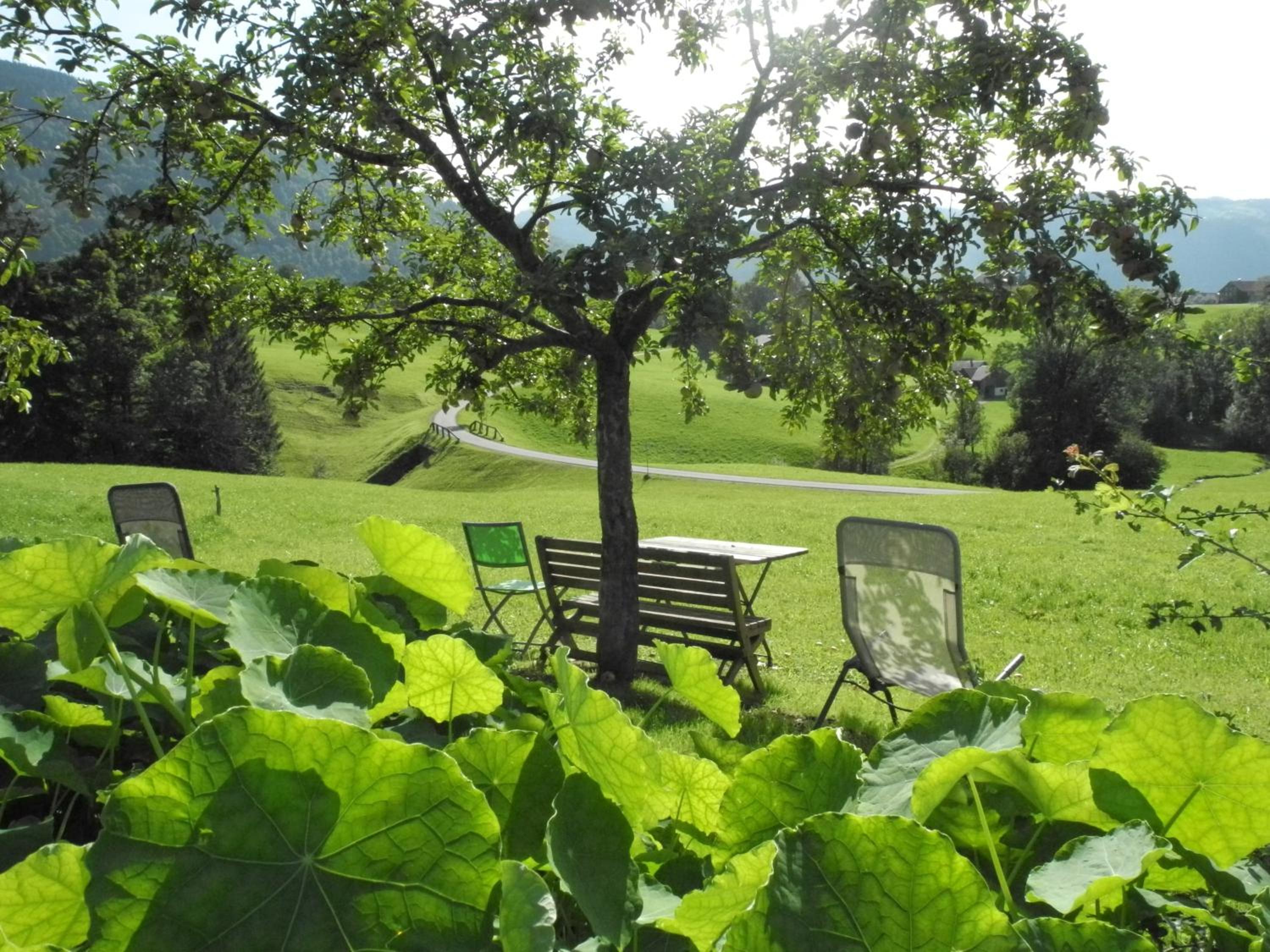 Ferienhaus Ritter