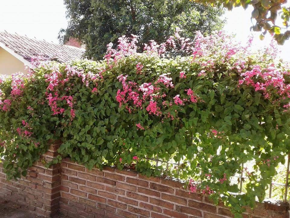 Casa de Silvia