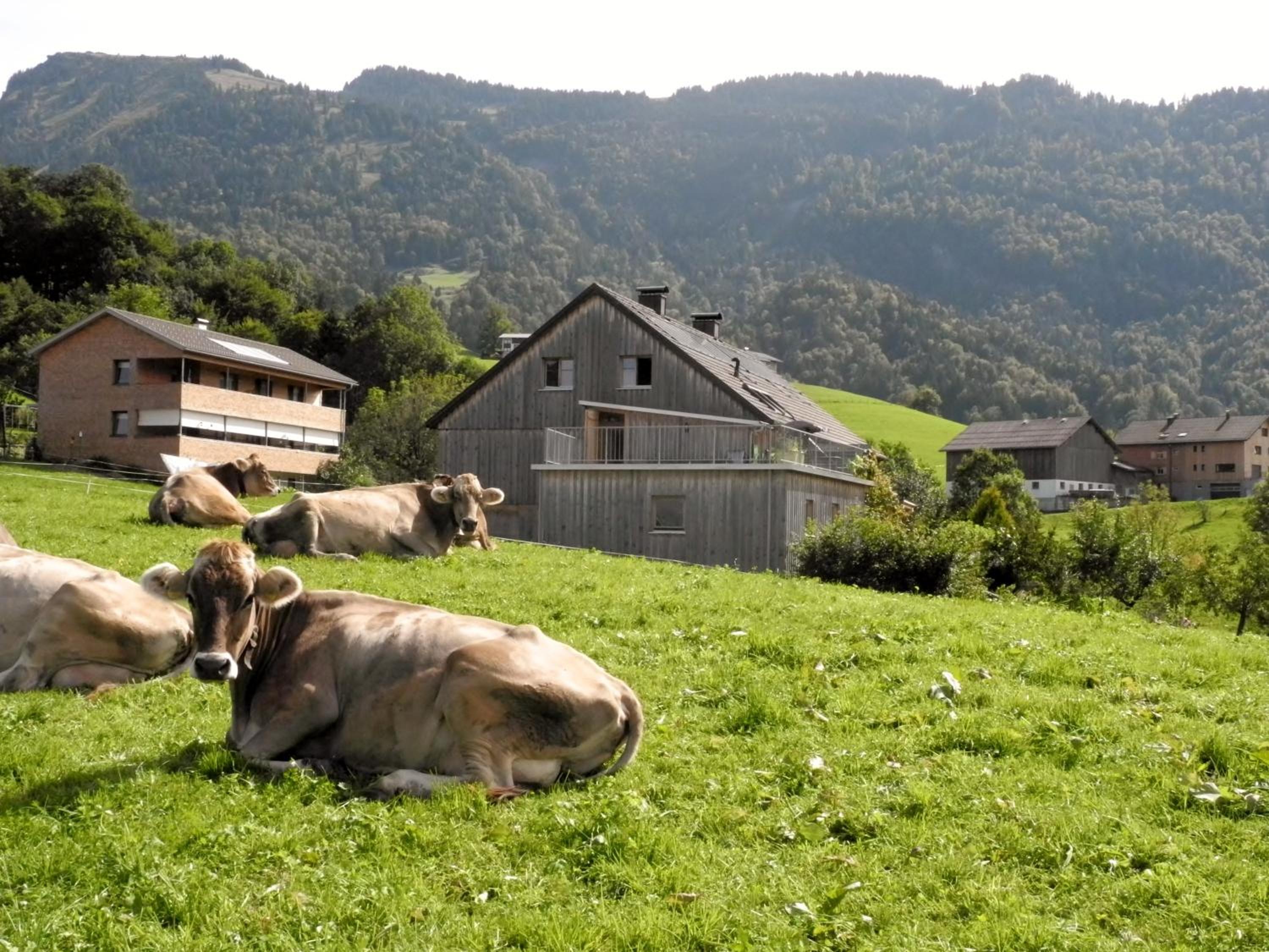 Ferienhaus Ritter
