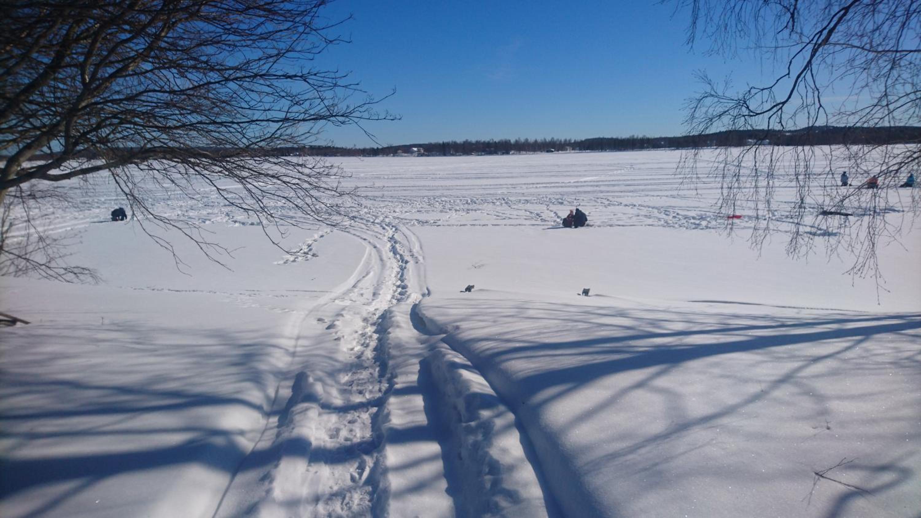 Photo 47