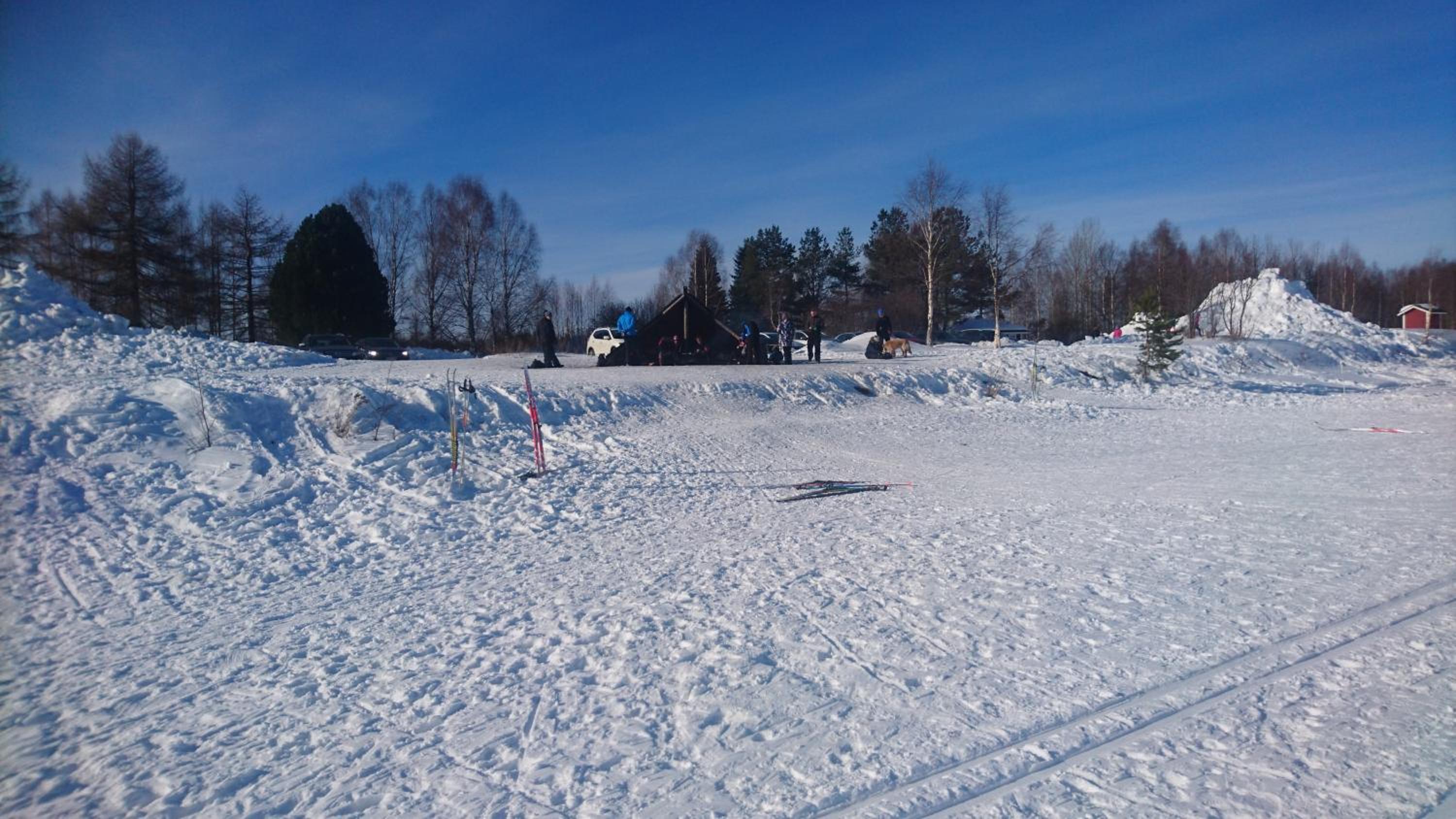 Photo 46