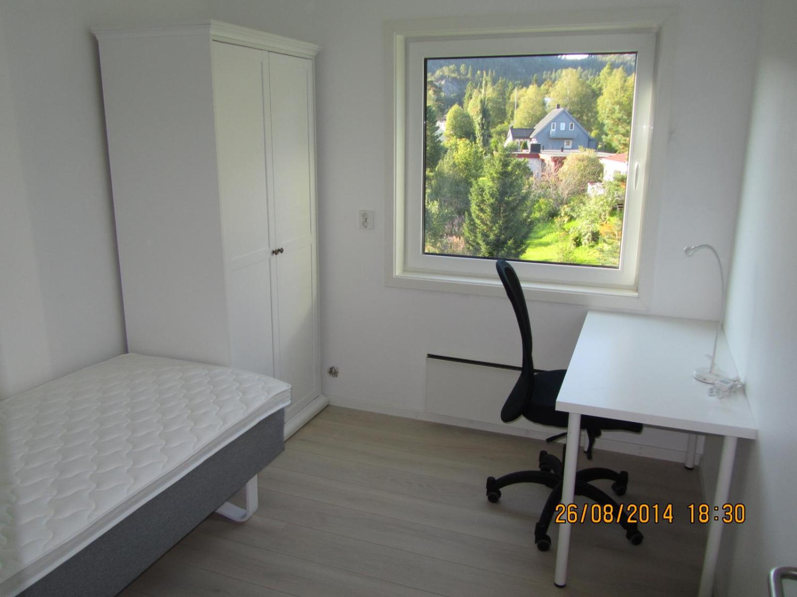 Photo 19