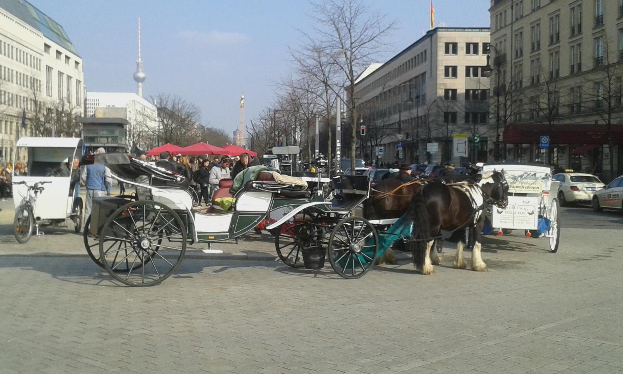 Ferienwohnung Berlin - Schönefeld Flughafen mit Küche view 5