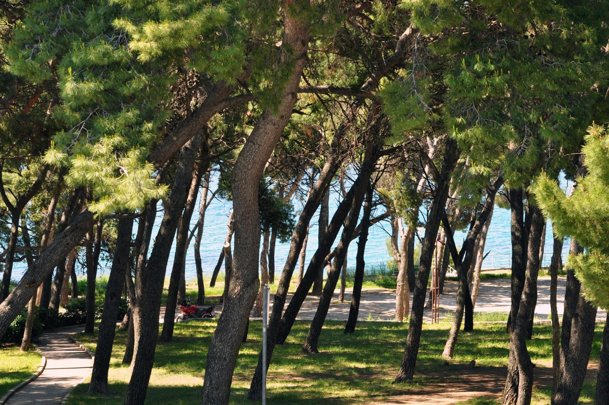 Photo 41