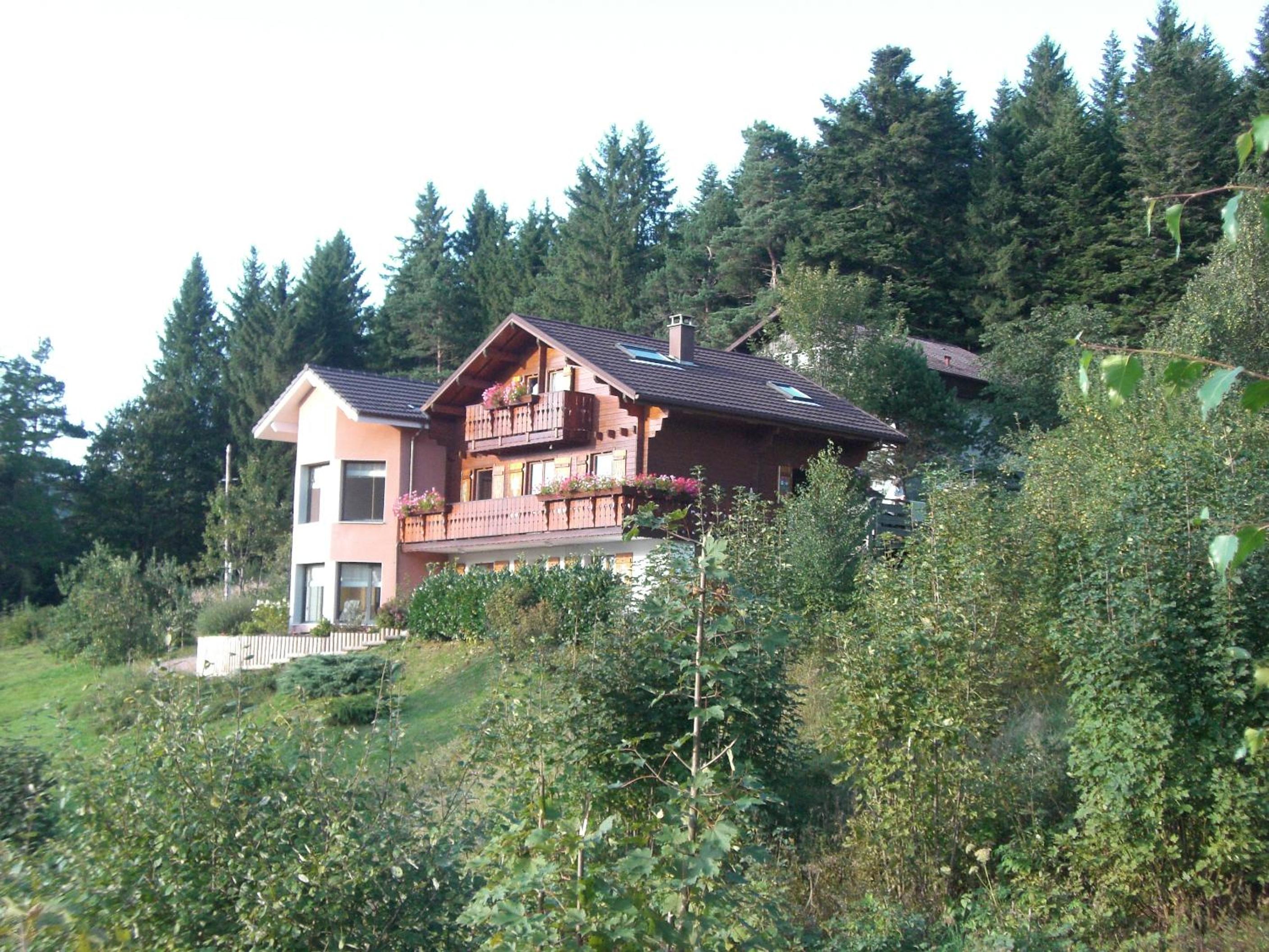 Photo 33