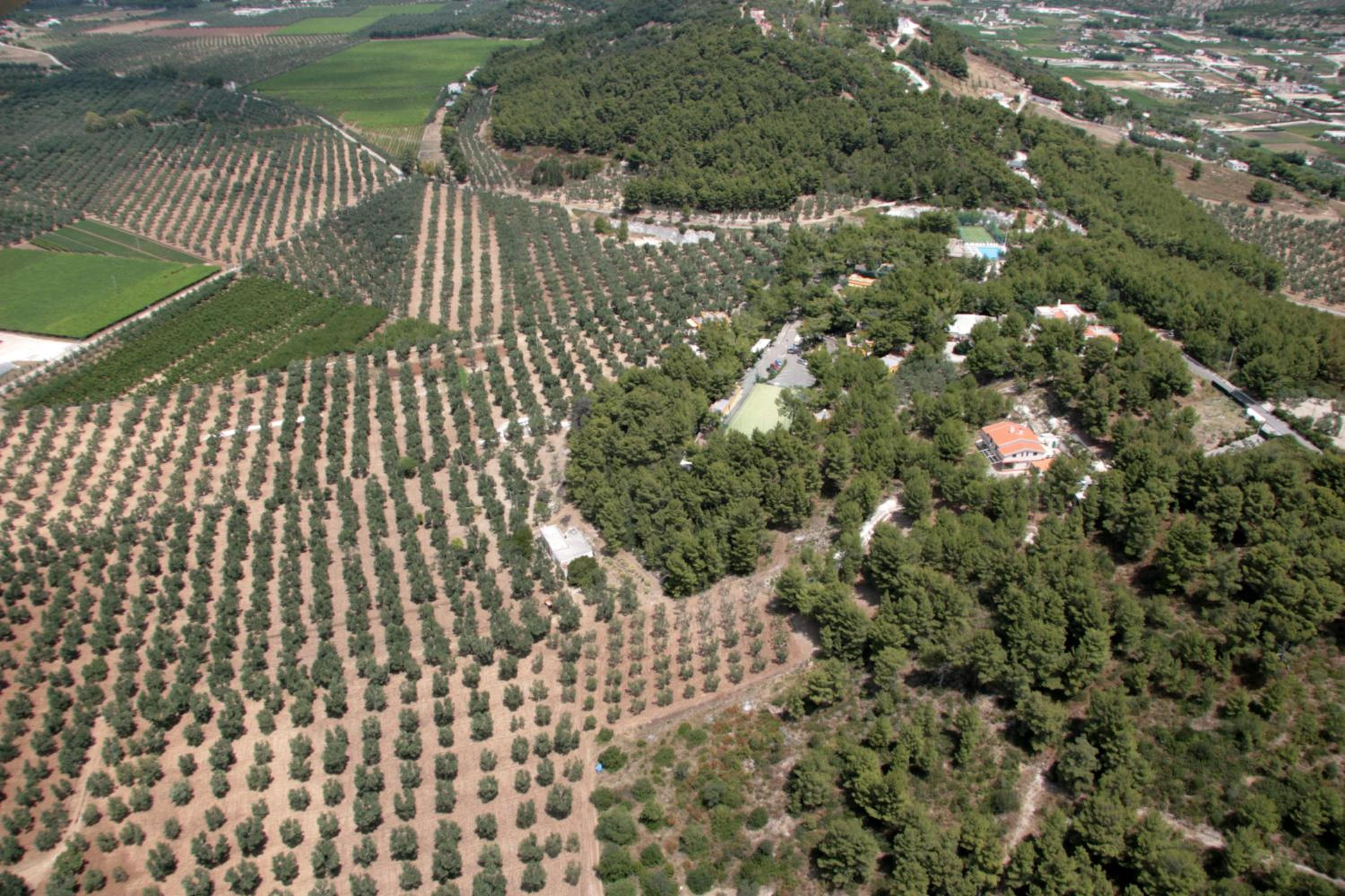 Villaggio Elisena