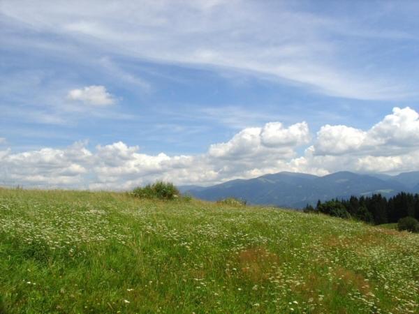 Hochfelner-Prutti - Stockerhof
