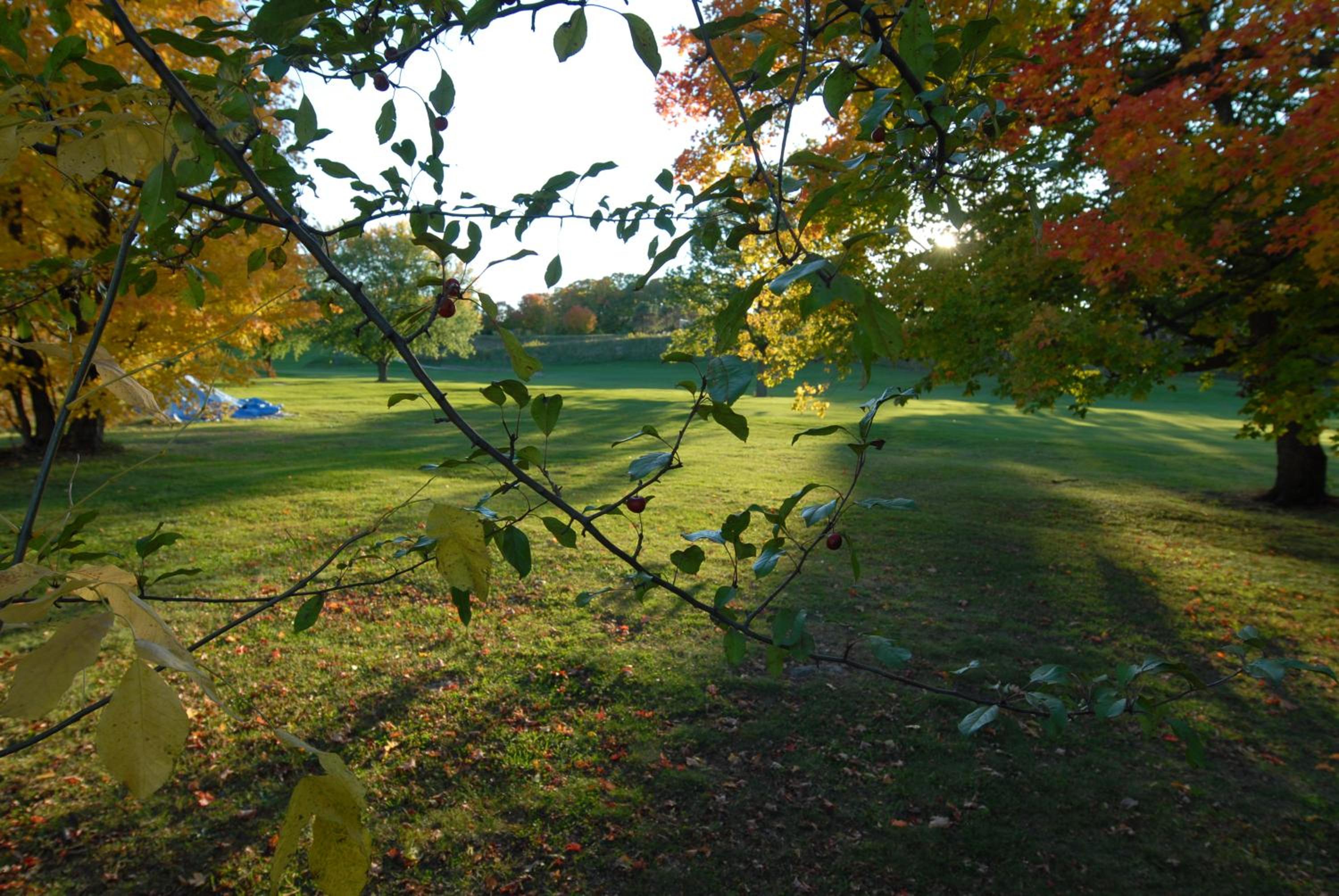 Kings Inn Orillia - Image 3