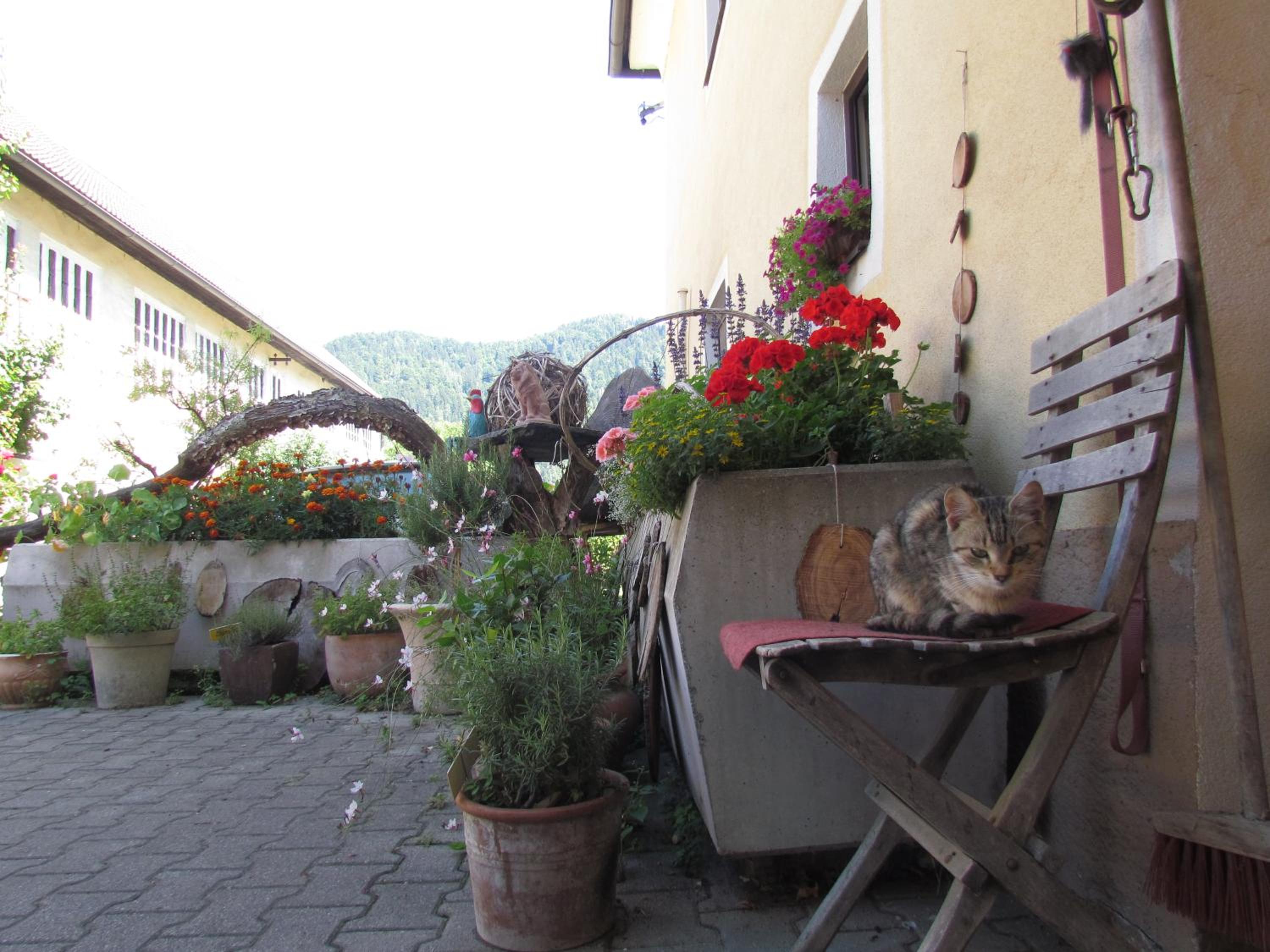 Gasthof Pension Rabl