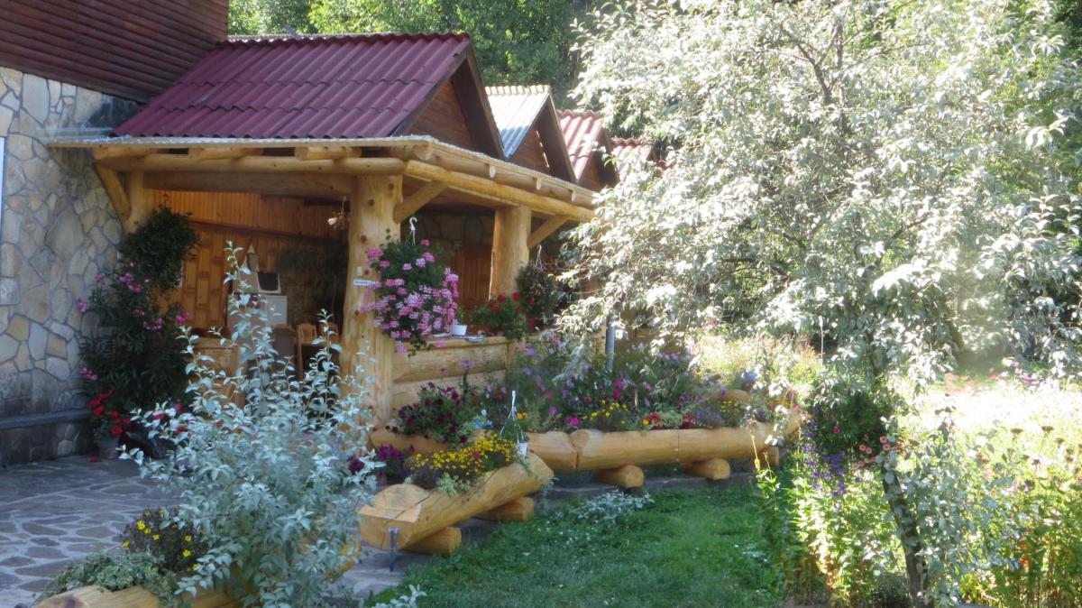Photo 7