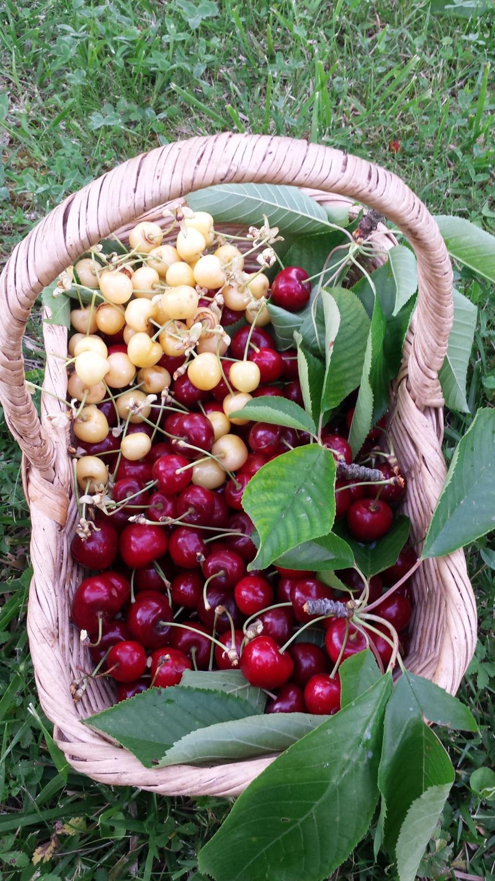 Agriturismo Il Poggiarello