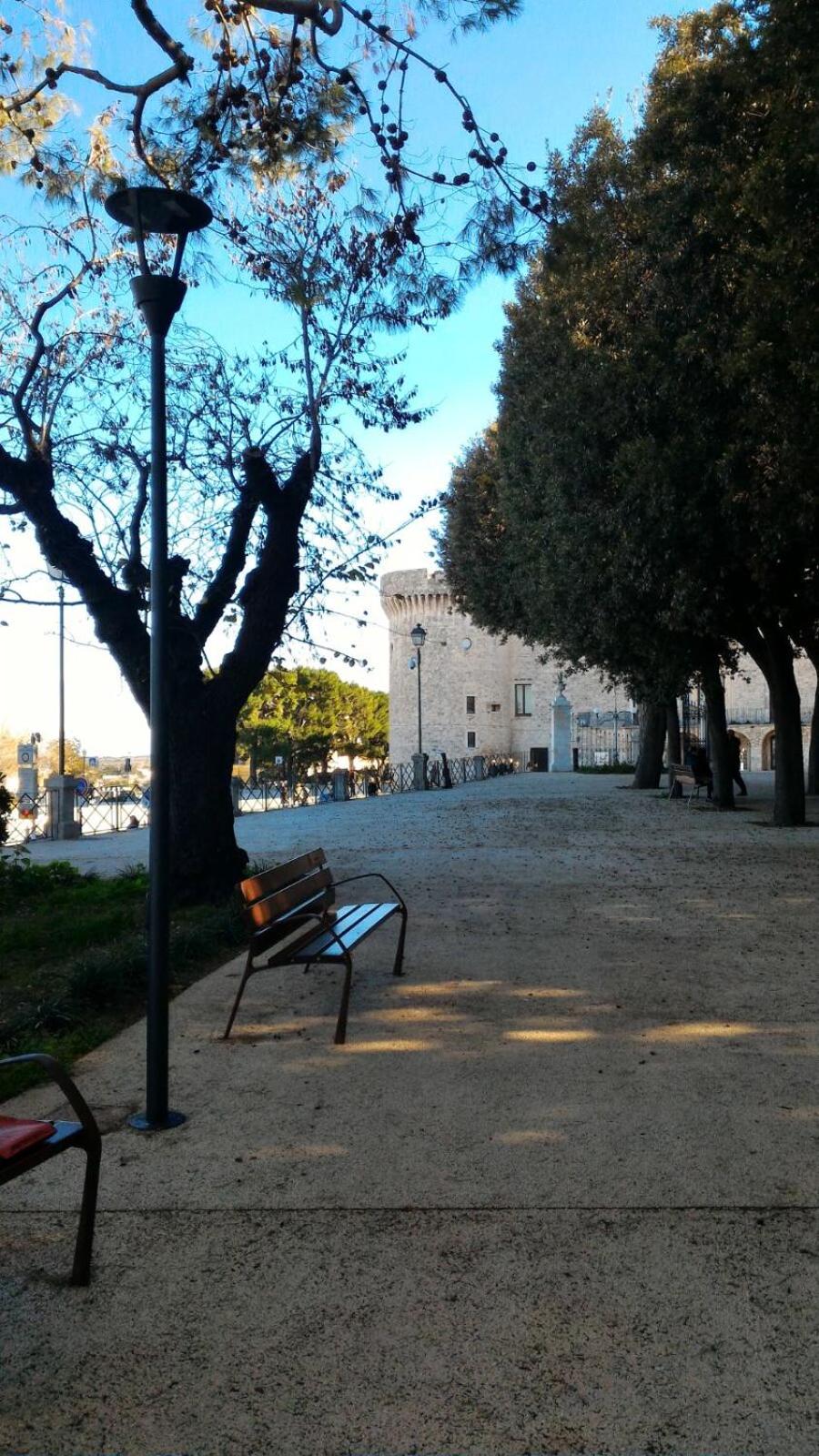 Photo 43