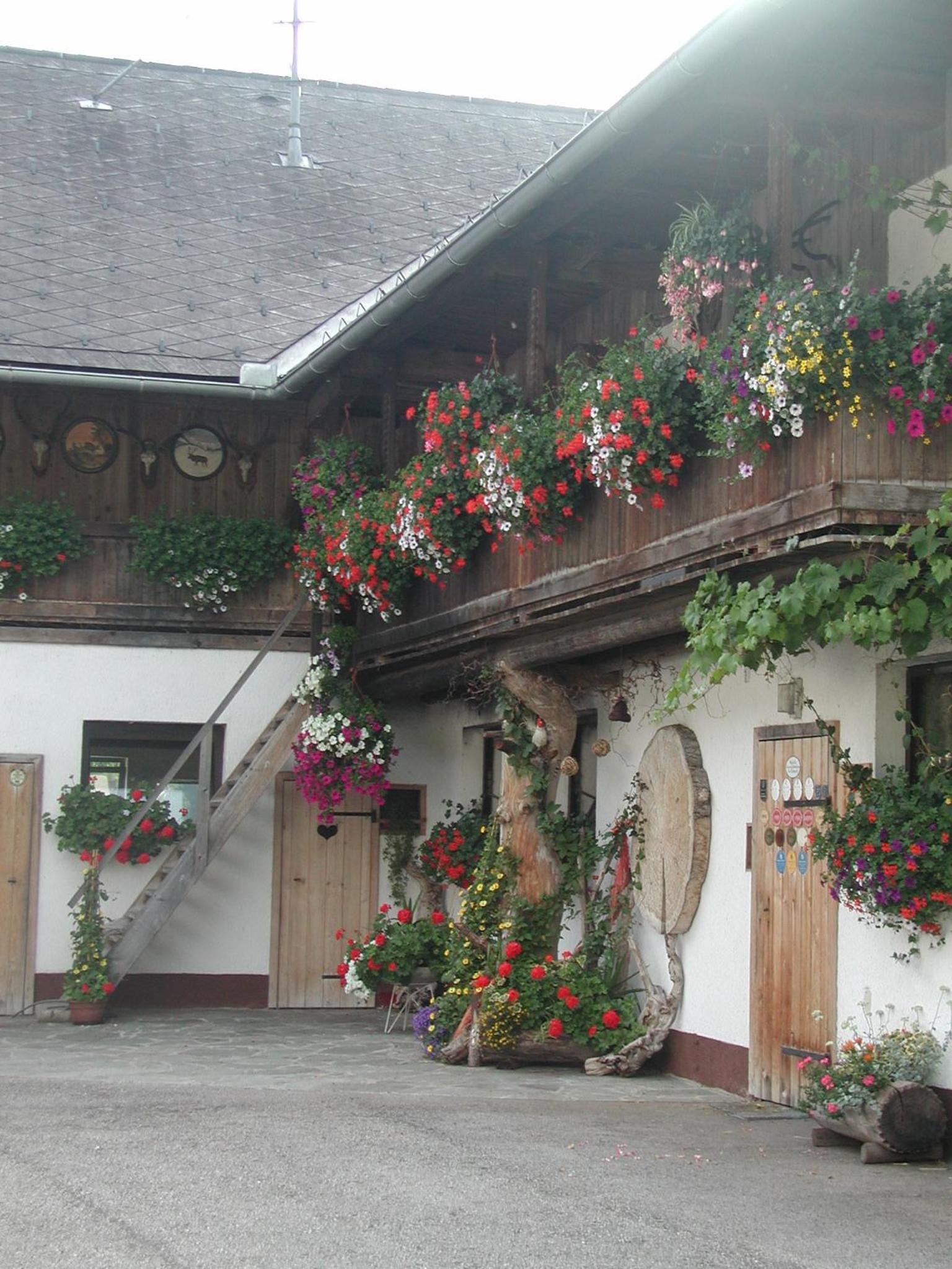 Ferienhof Unterführholzergut