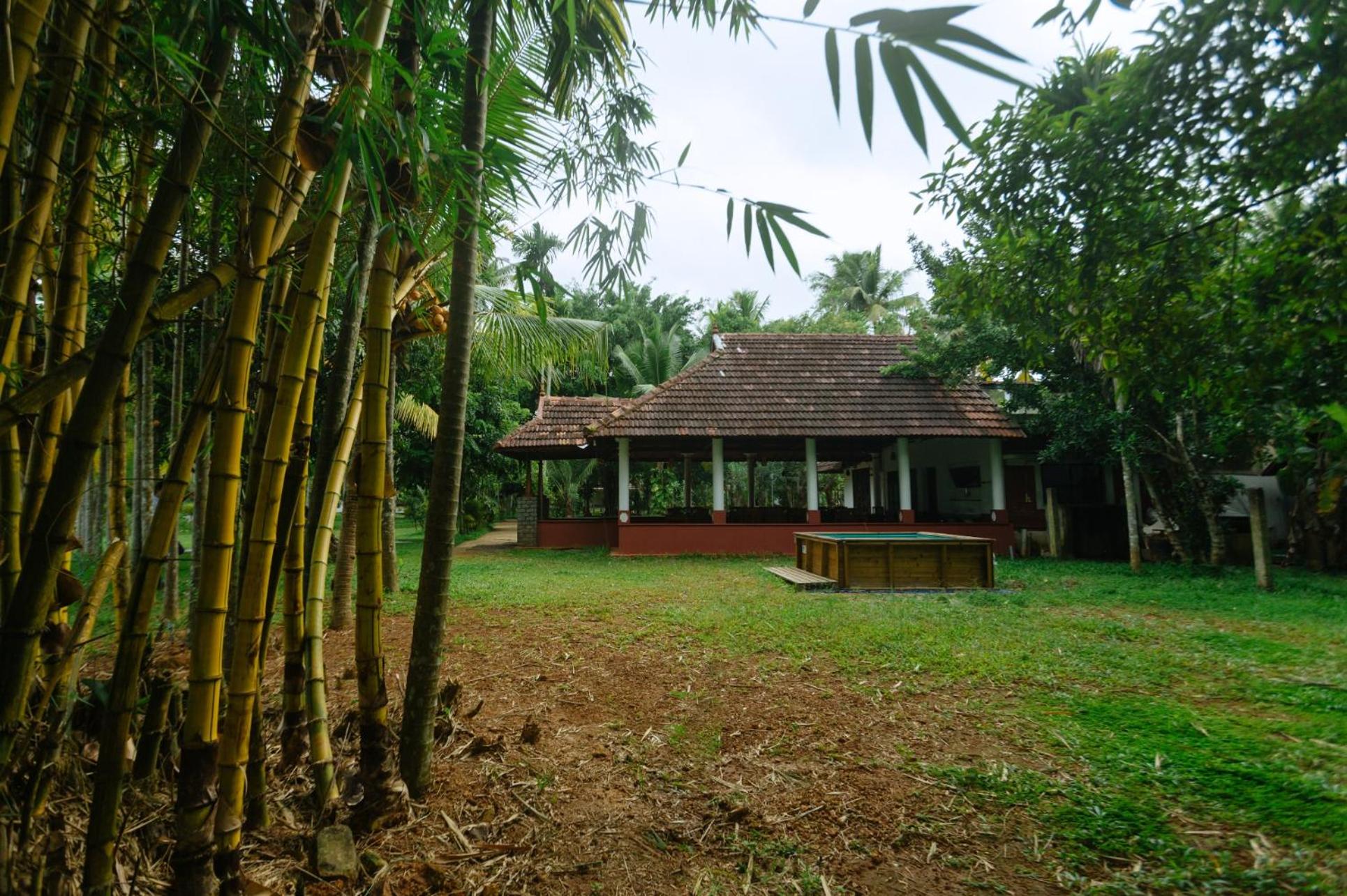 Palmgrove Lake Resort view 3