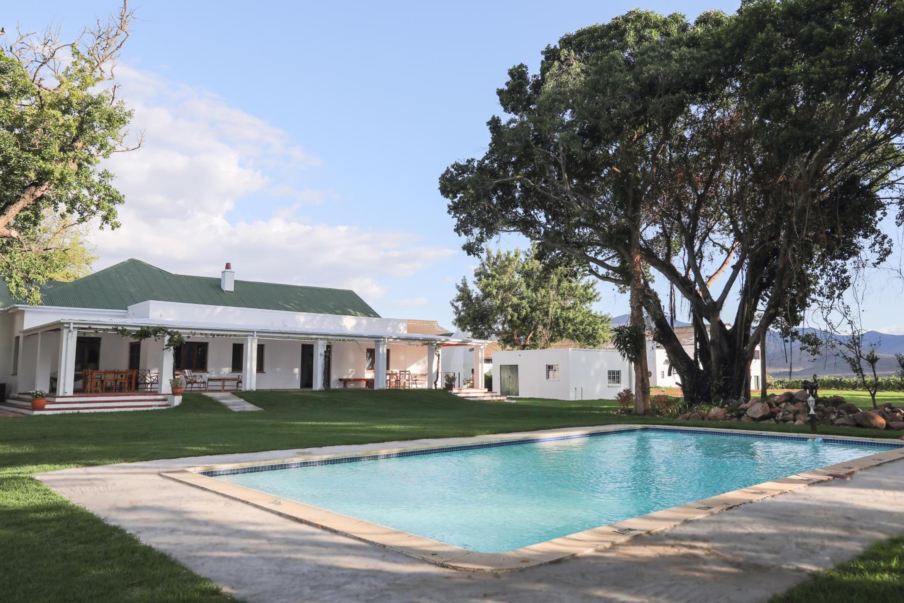 Green Olive Guesthouse