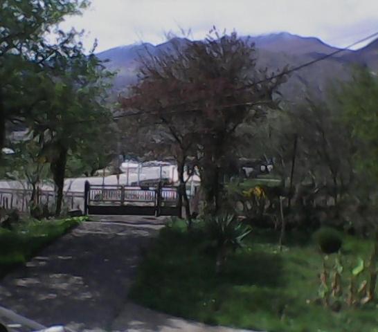 Photo 43