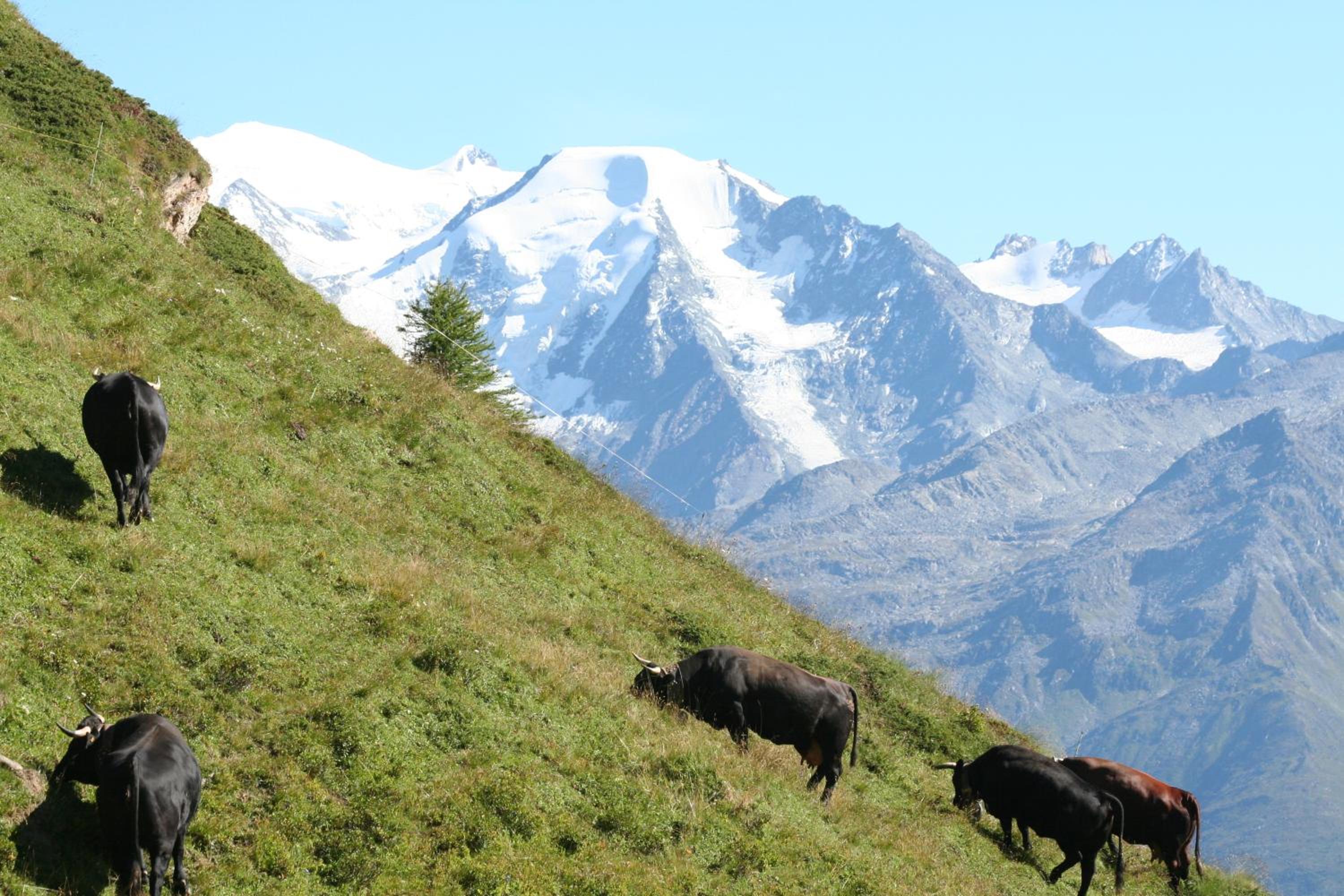 BnB Claudy et Elizabeth Michellod-Dutheil