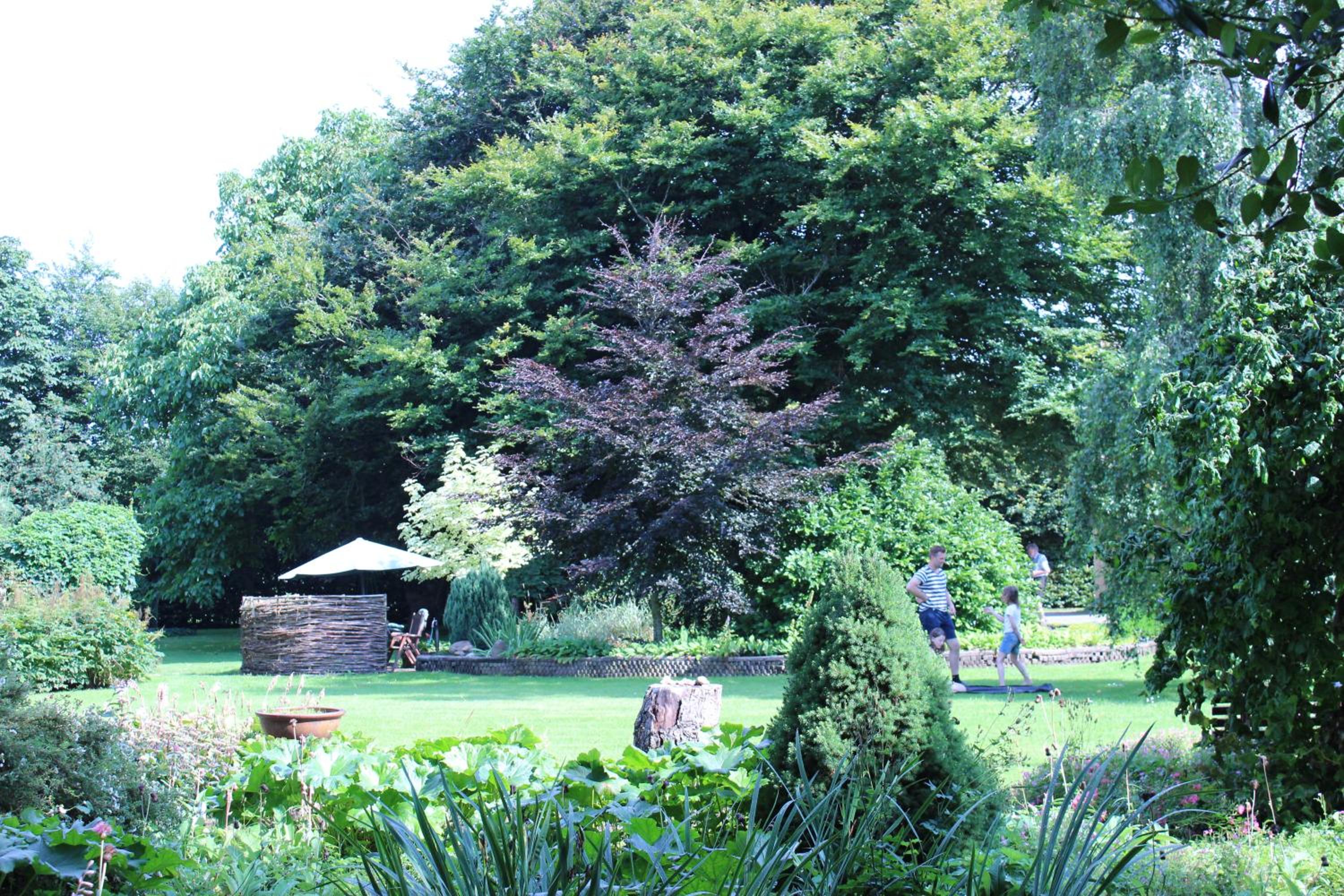 Photo 12