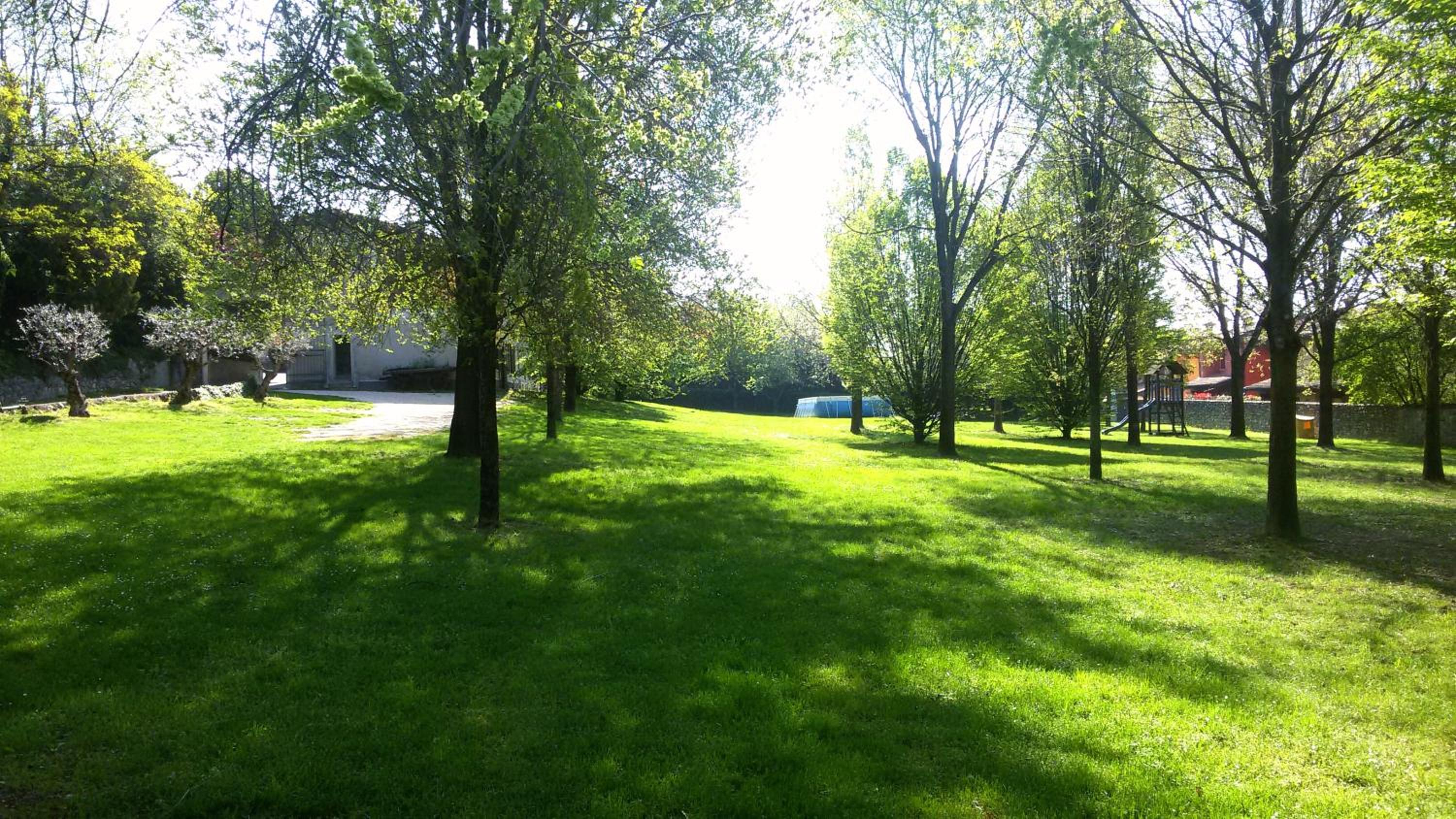 Photo 12