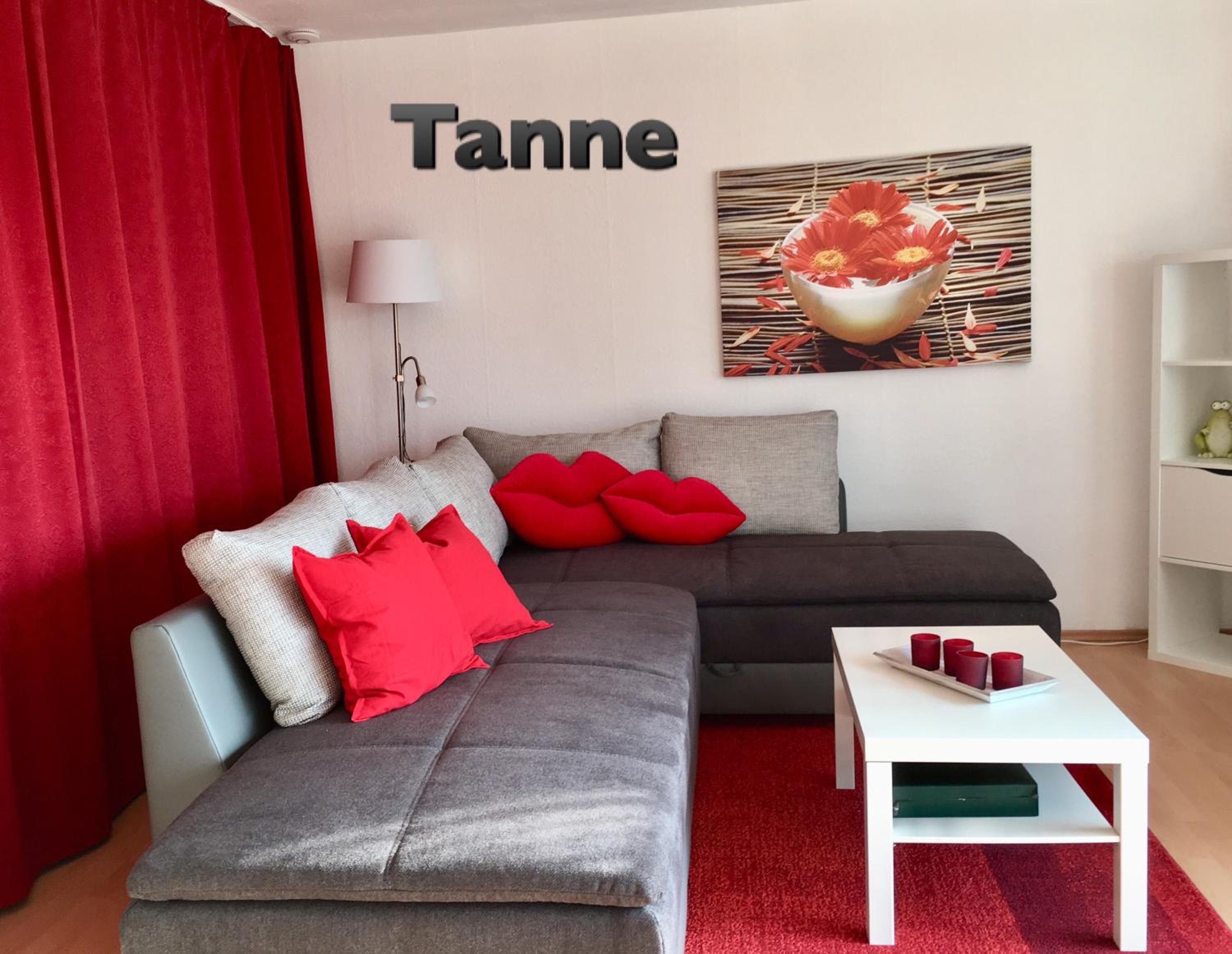 4 moderne FEWO Nowak-Bals zur Auswahl - Property Image 43