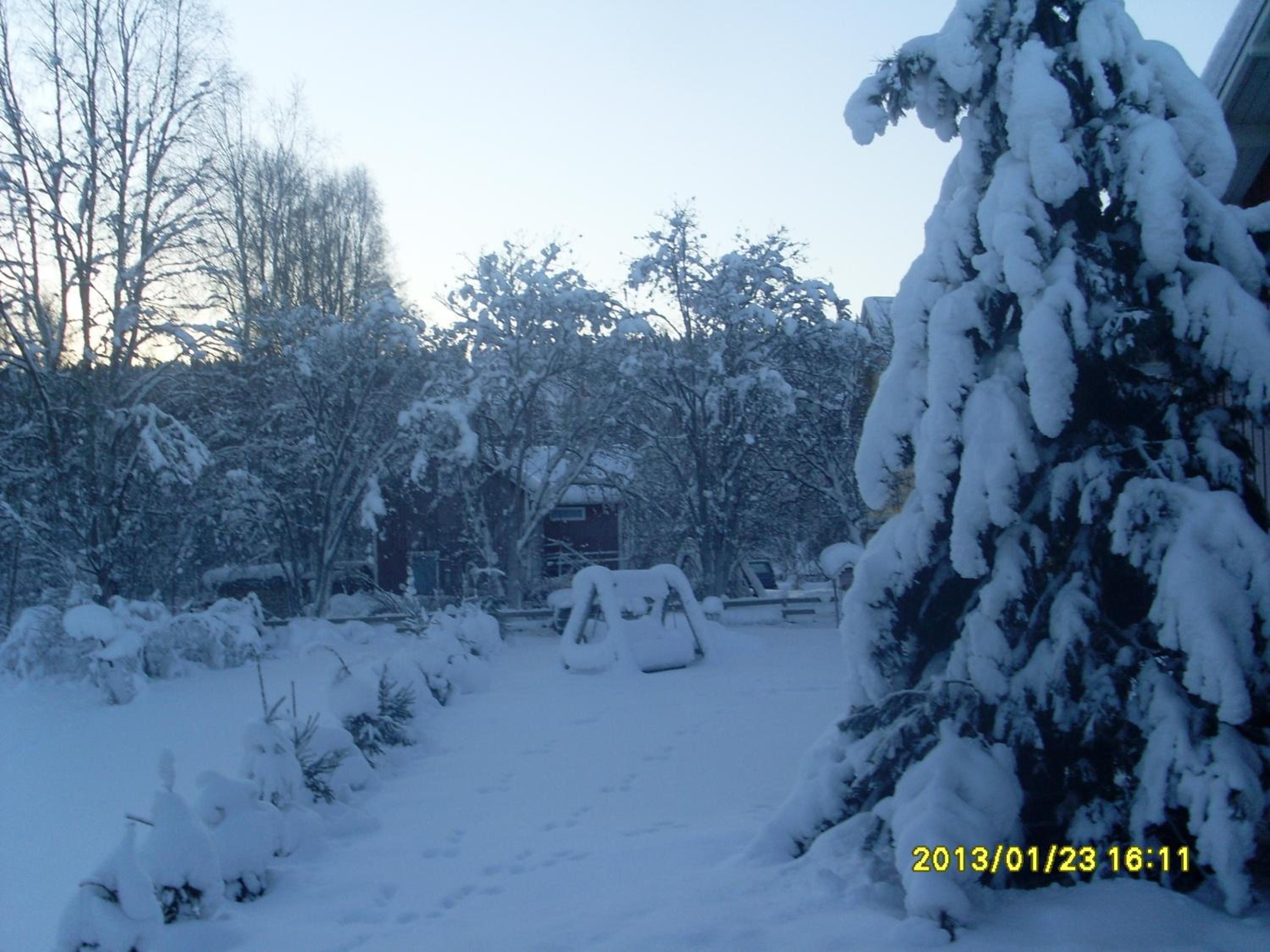 Aaria Bed and Breakfast