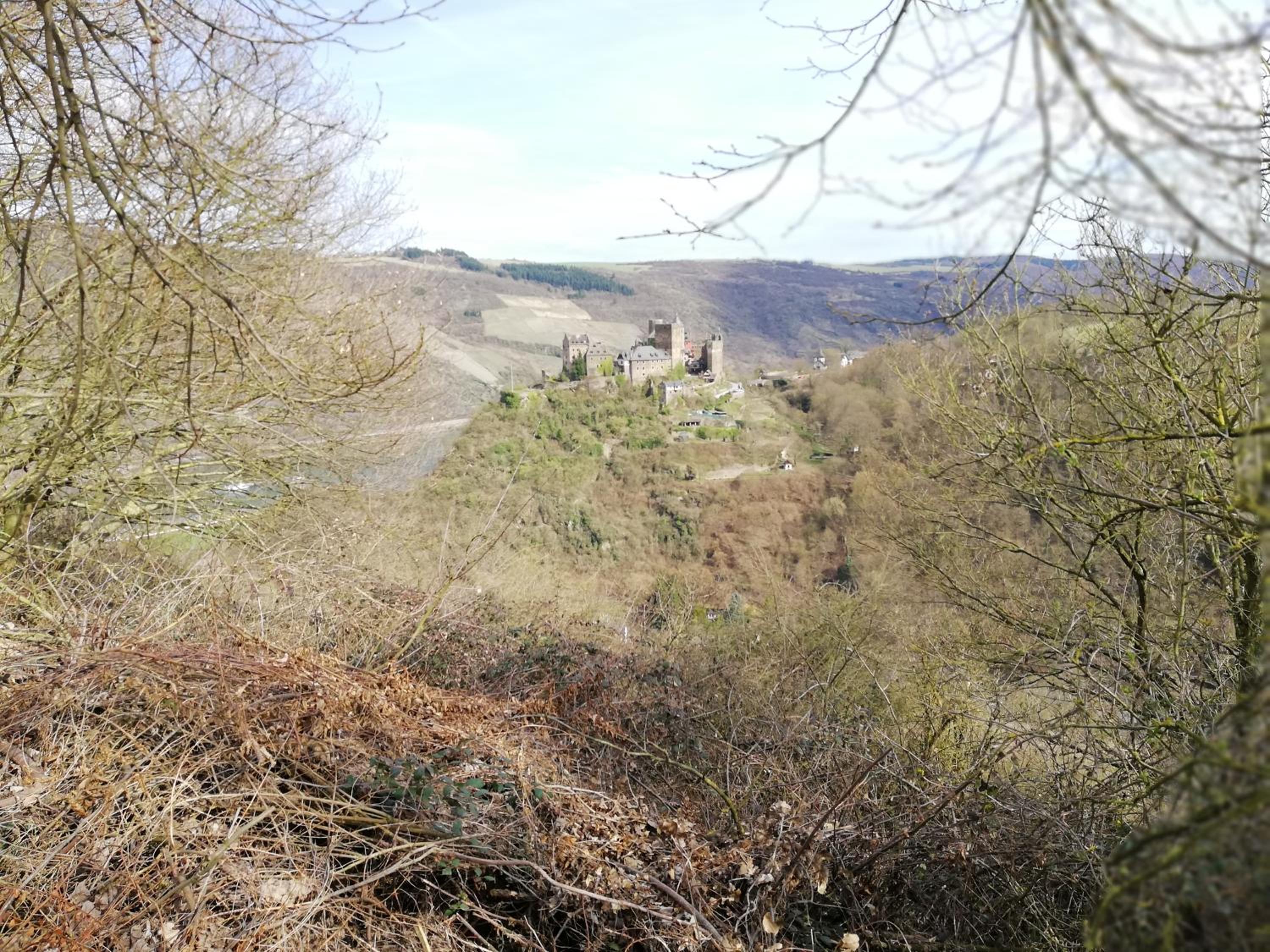 Panorama-Rheinblick St. Goar