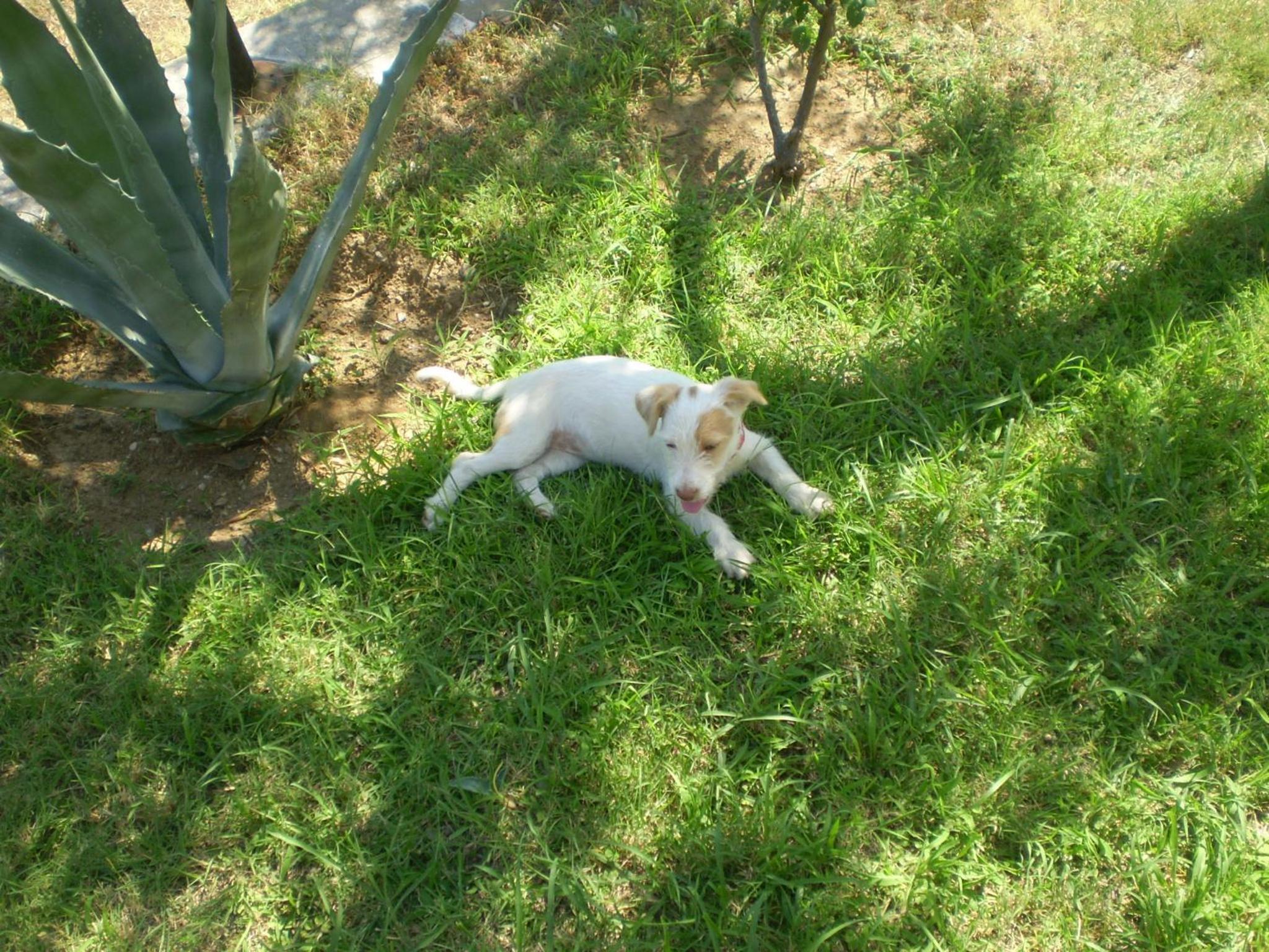 Photo 33