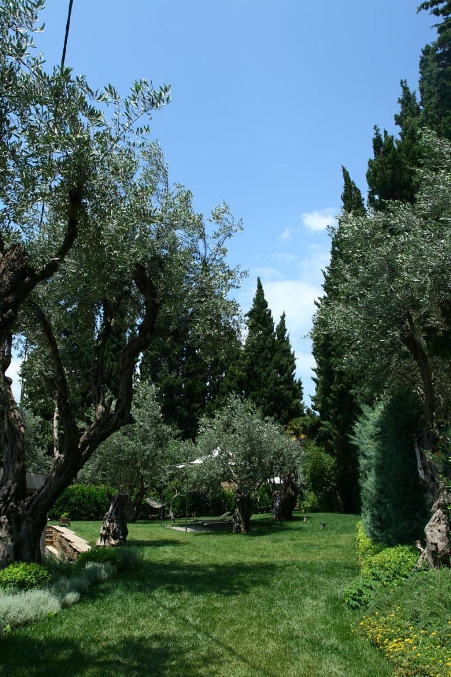 Photo 49