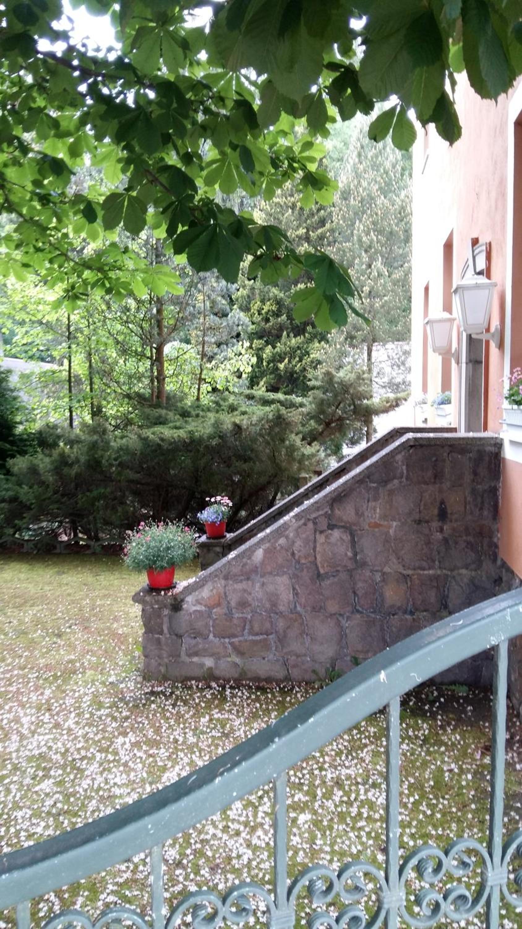 Pension am Tharandter Wald - Property Image 17