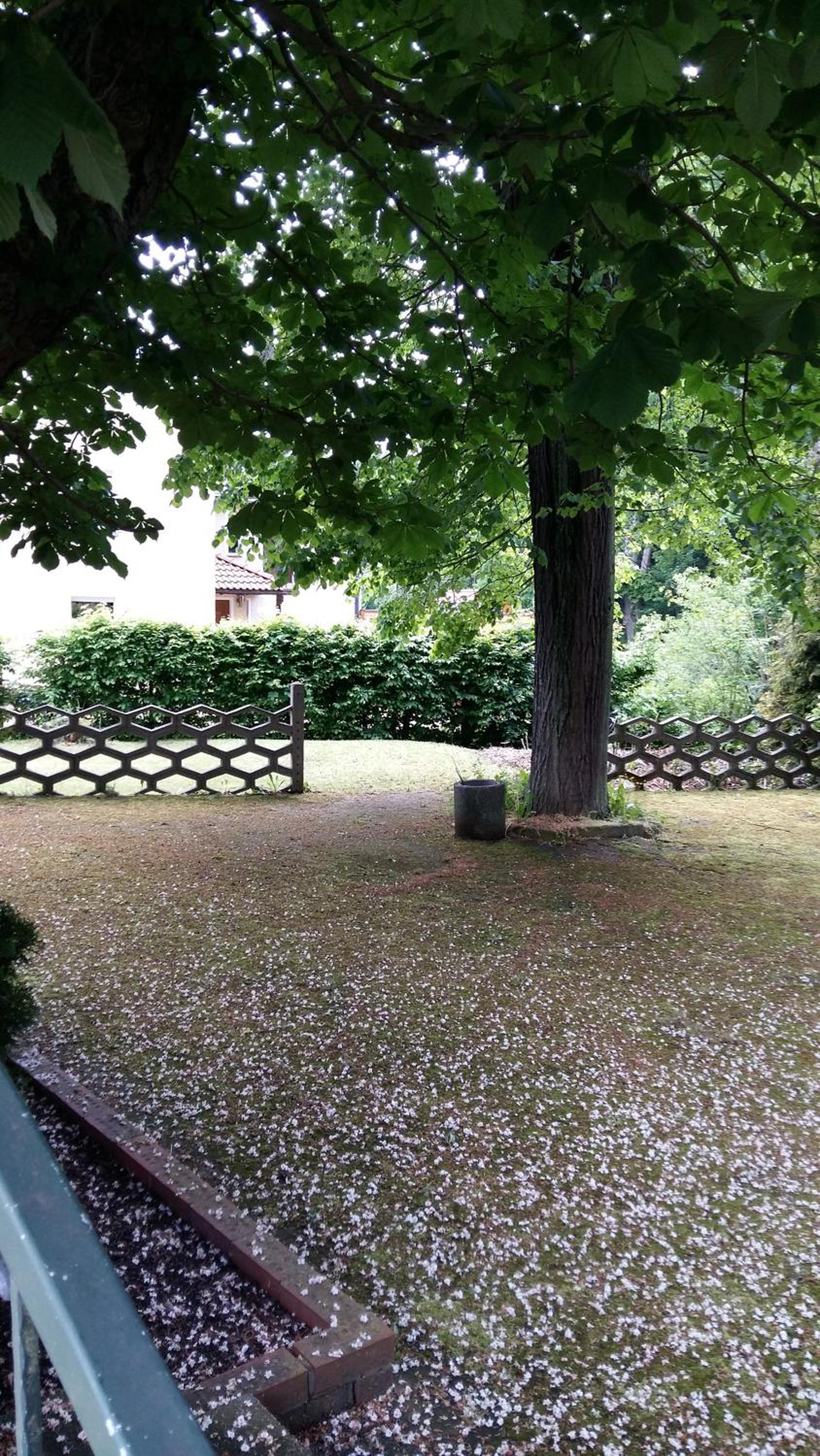 Pension am Tharandter Wald - Property Image 18