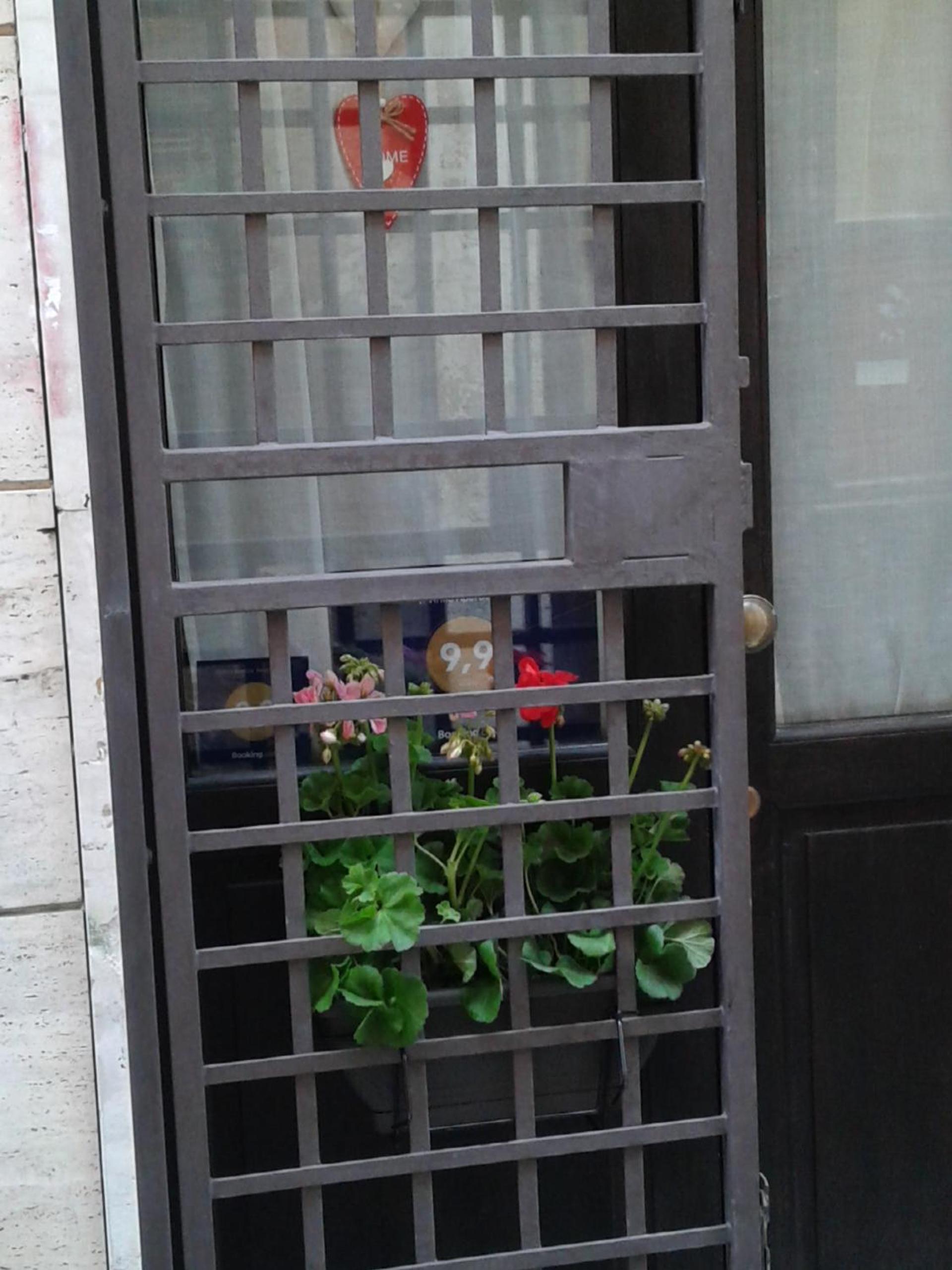 Photo 29