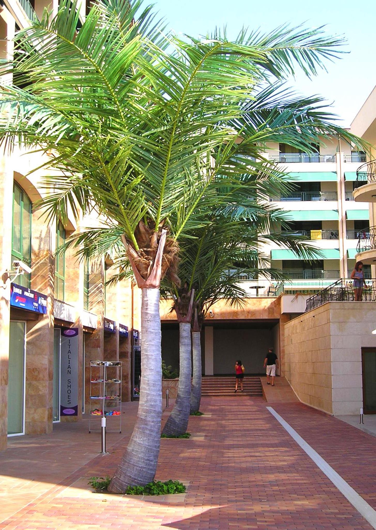 Guest House Maria