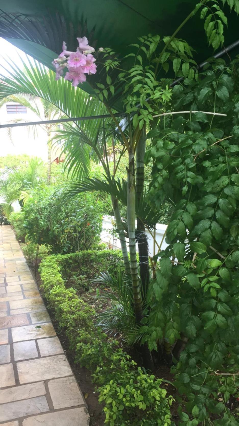 Paraiso dentro da cidade