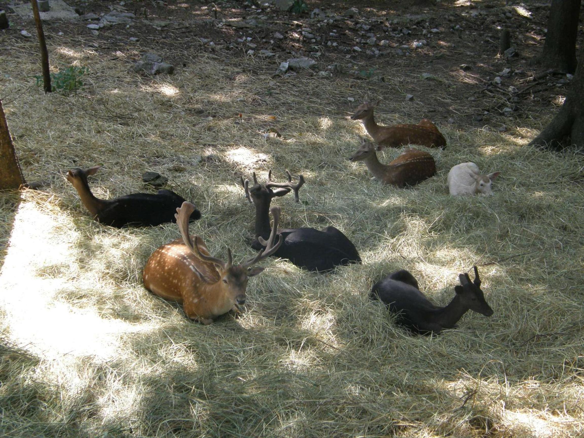 Photo 32