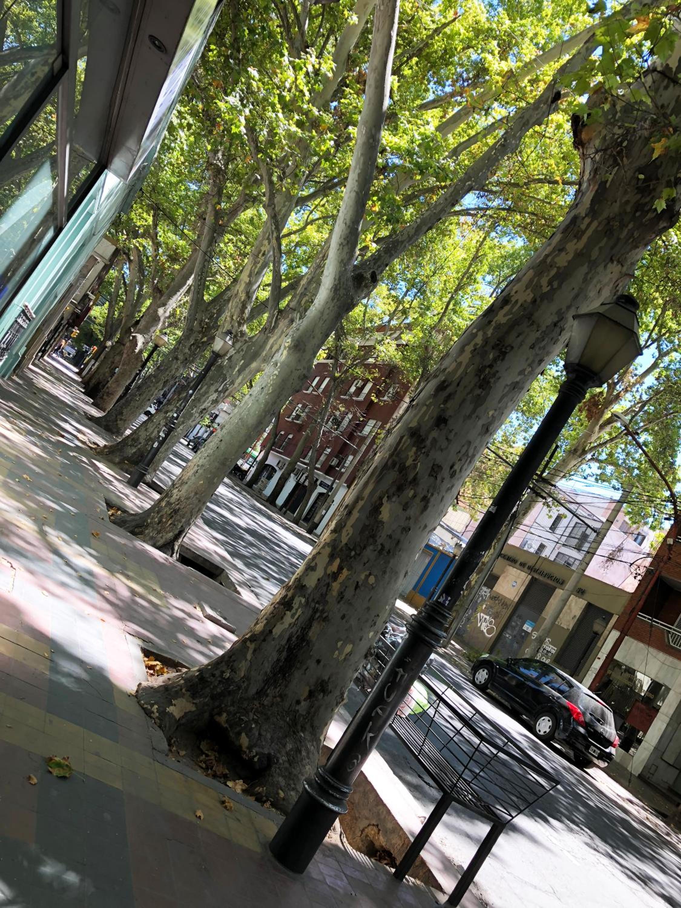Corazón de Mendoza