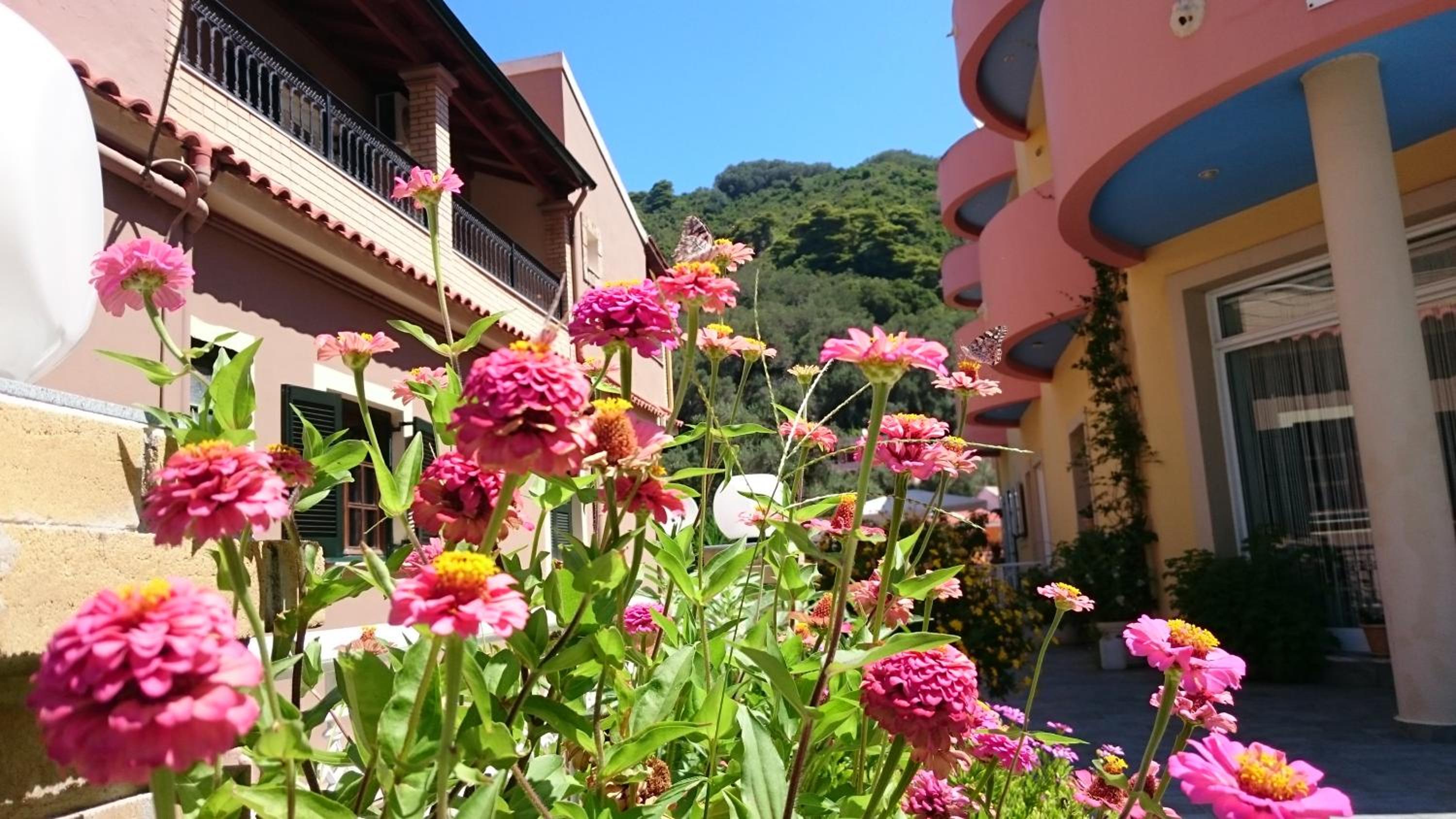Hotel Rolandos Apartments - Image 1