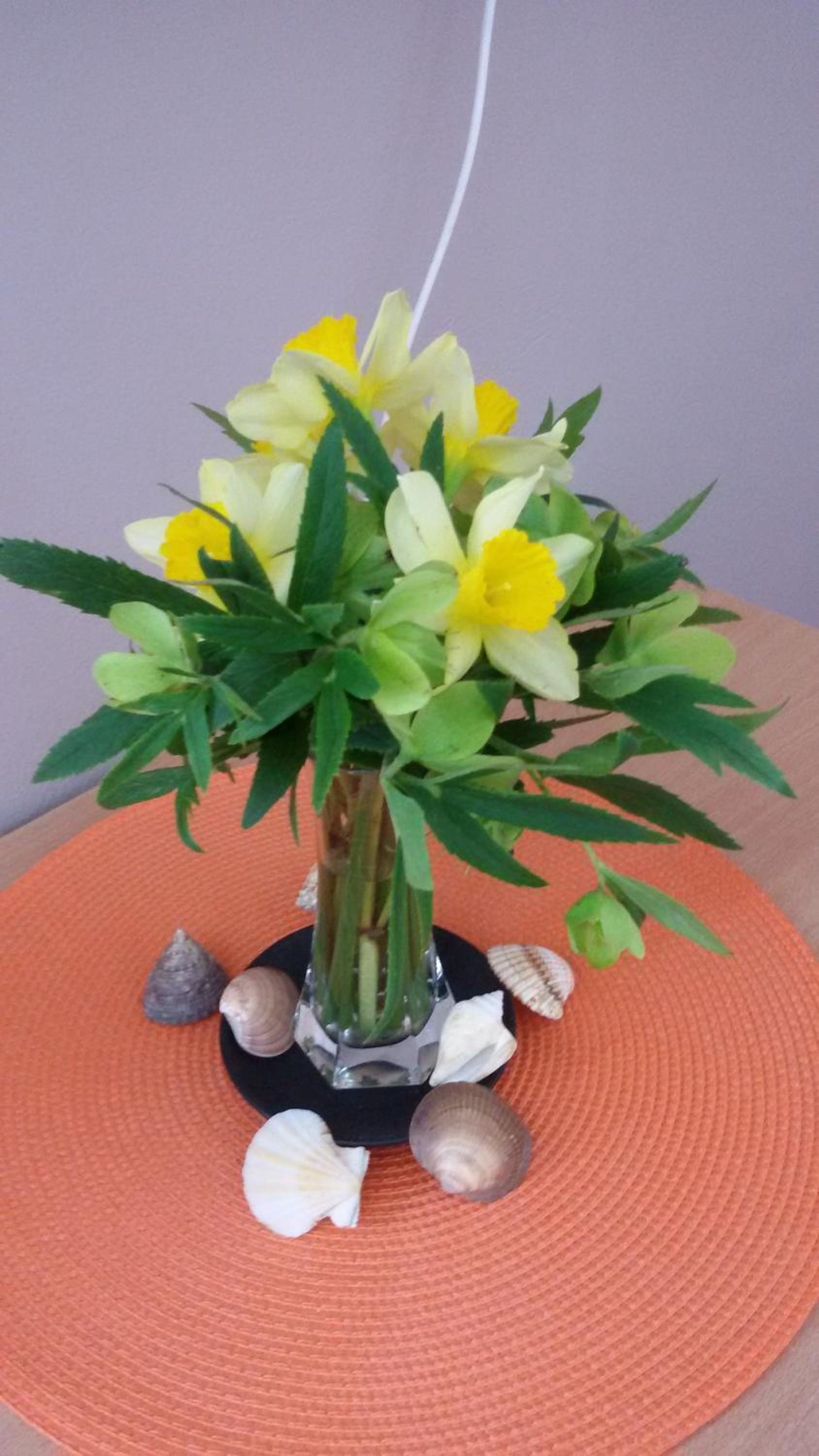 Apartmani RALE rooms