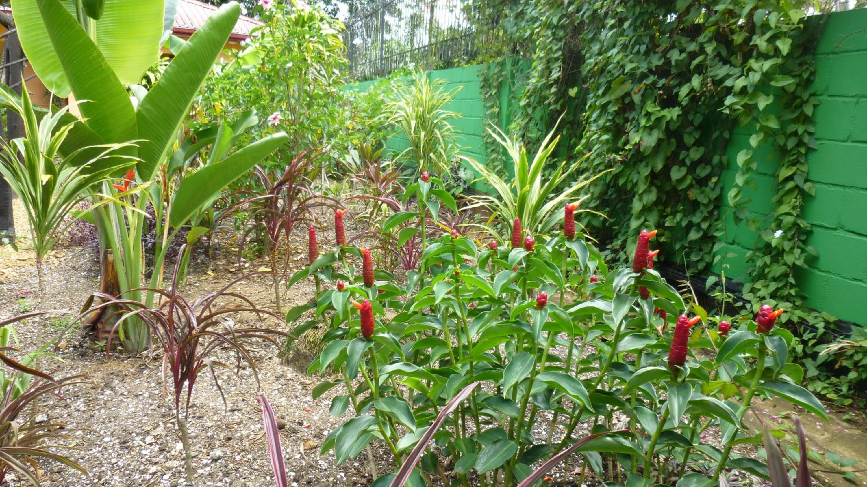 Kekemba Apartments Paramaribo
