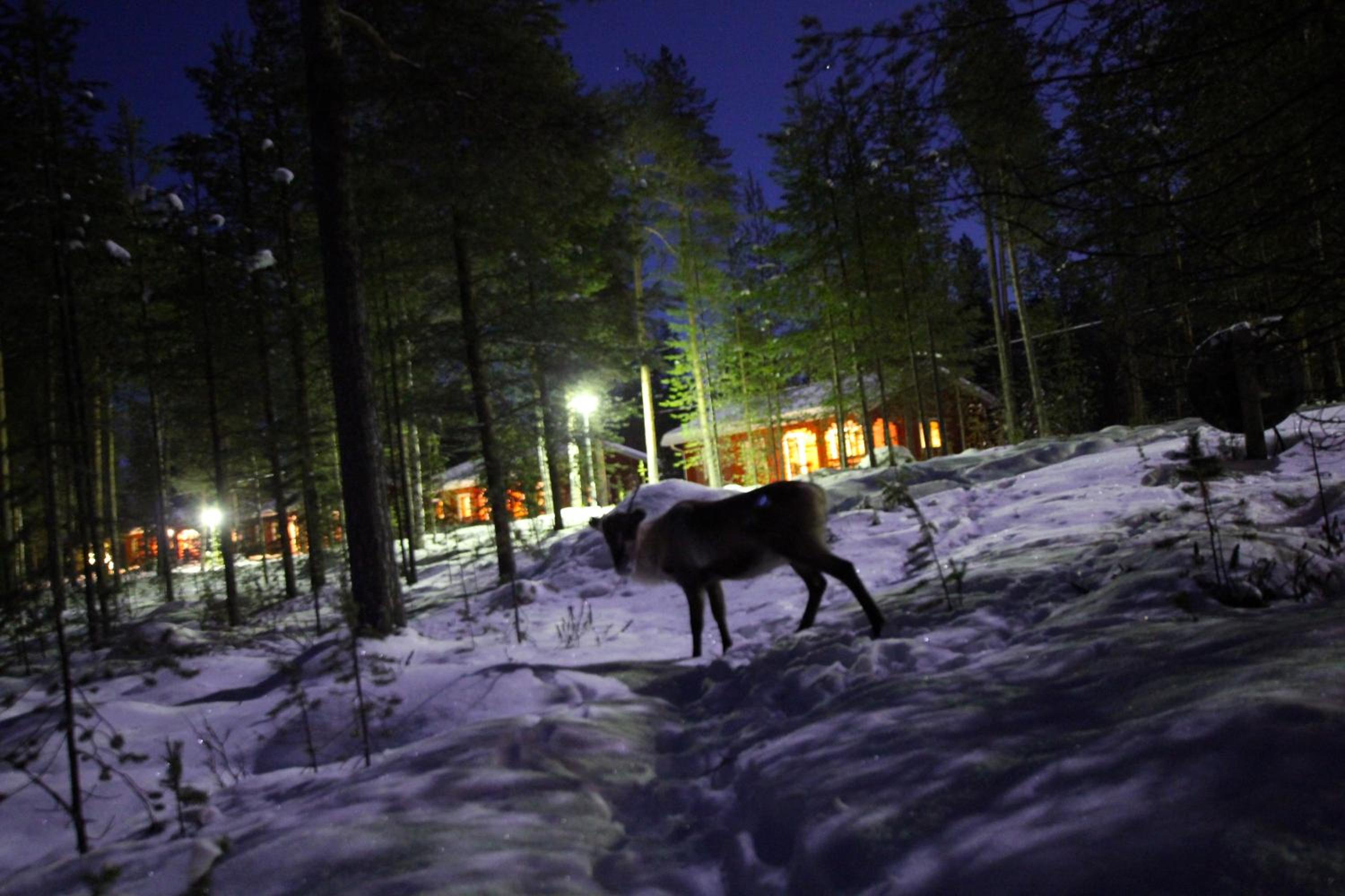 Ukonjärven Holiday Village