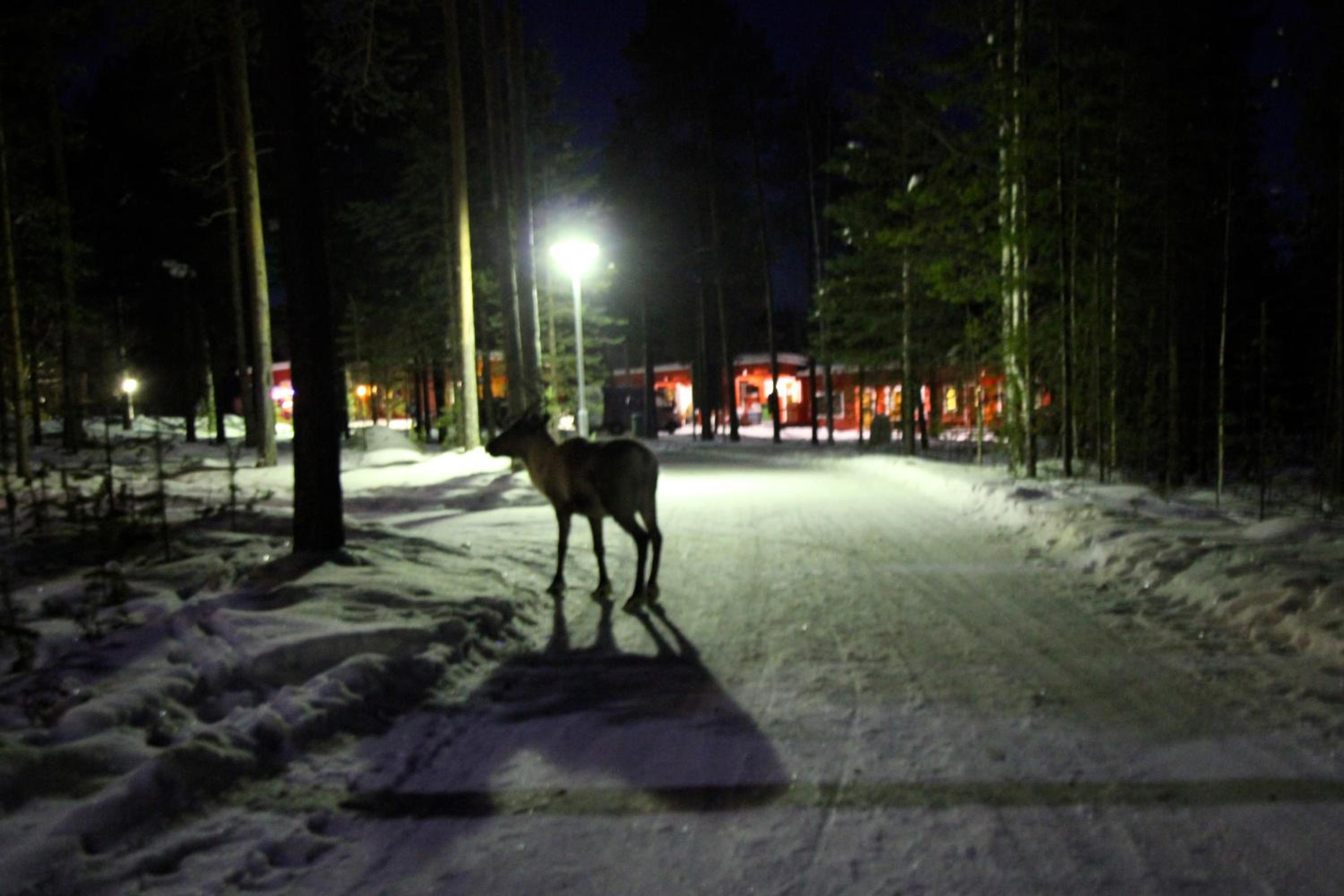Ukonjärven Holiday Village