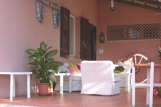 Photo 51