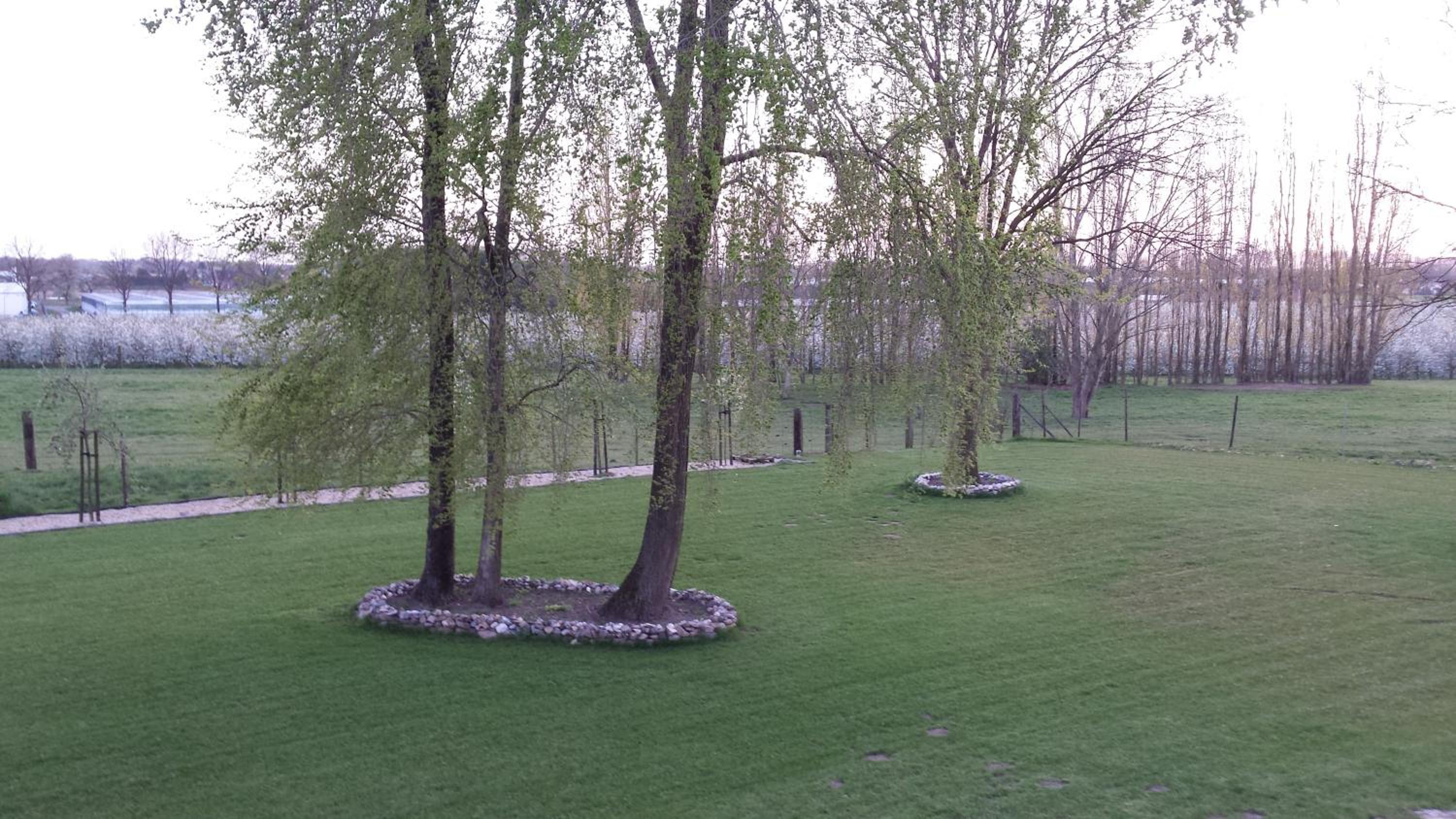 B&B Johannes-Hoeve