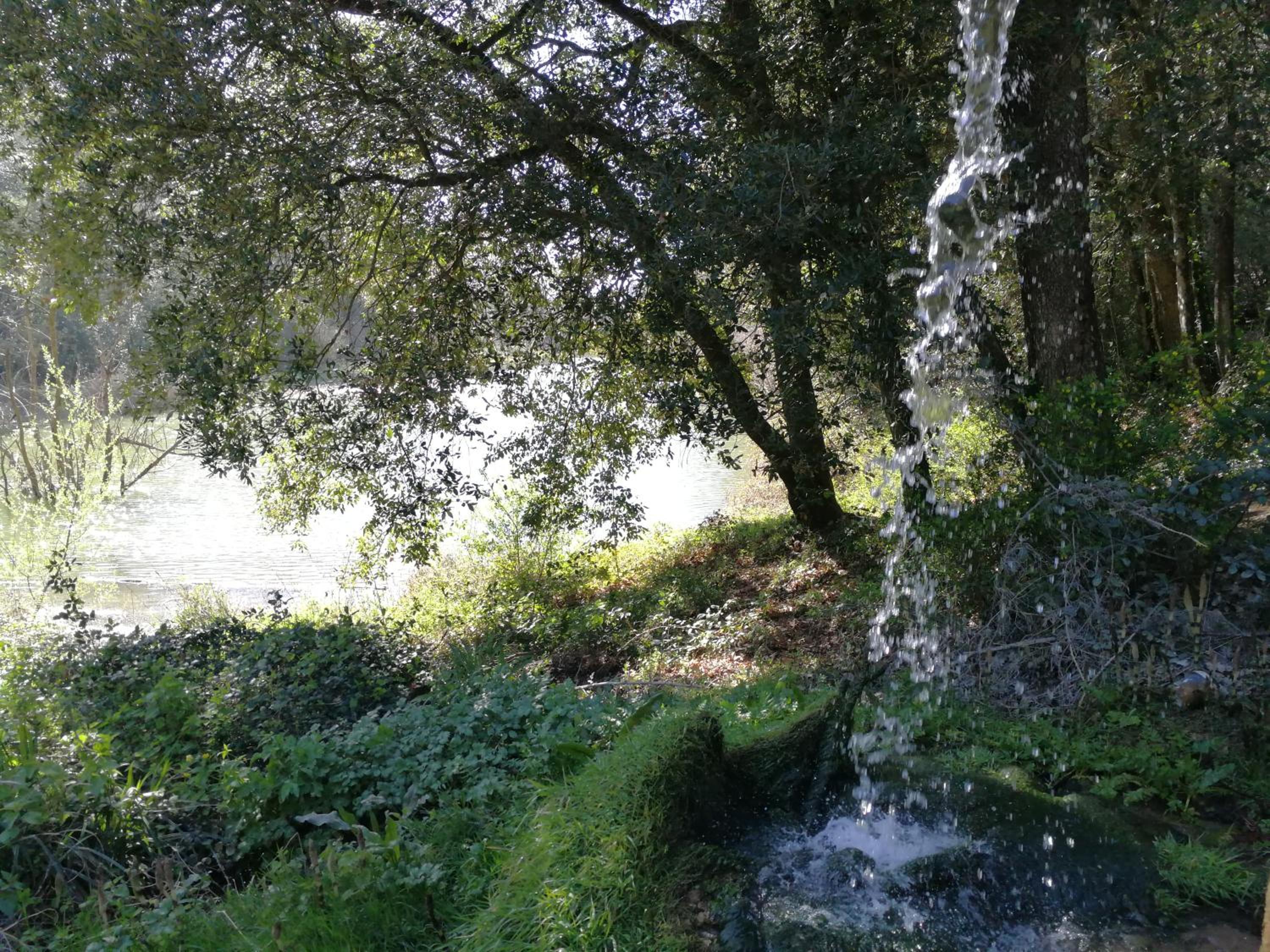Photo 48