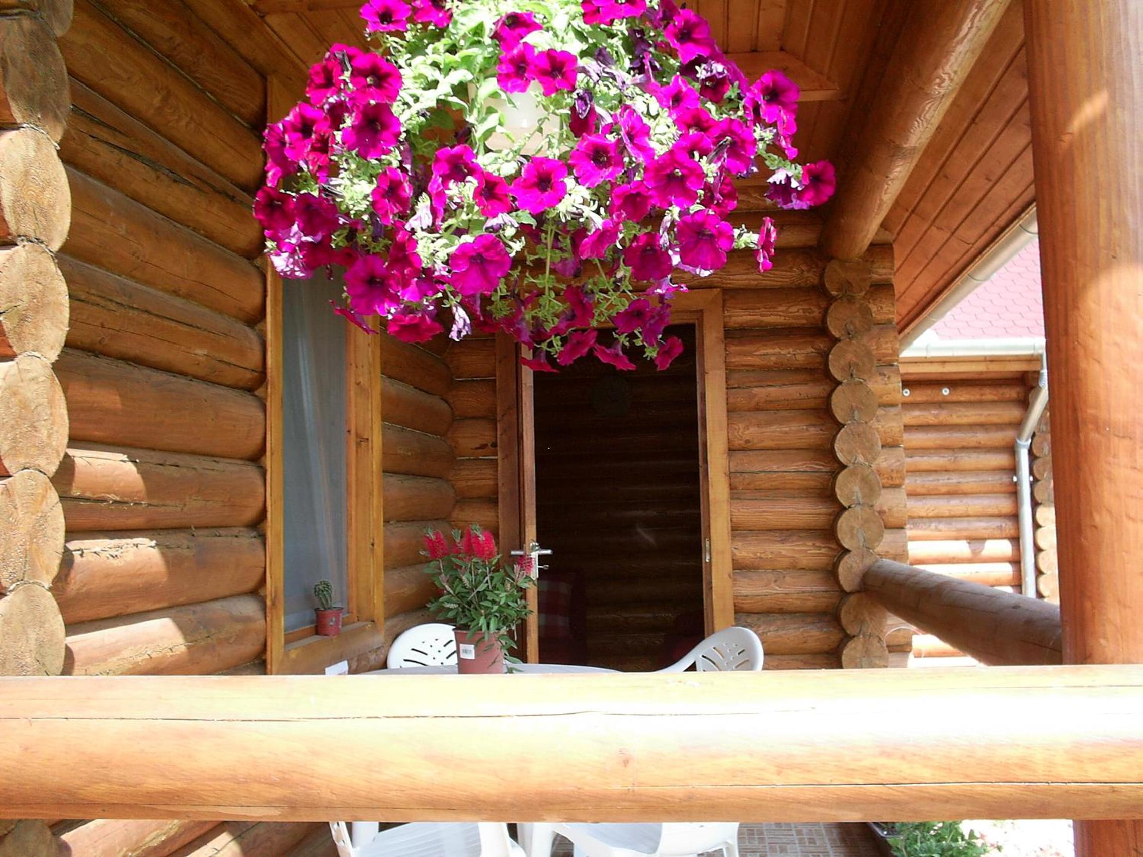 Photo 49