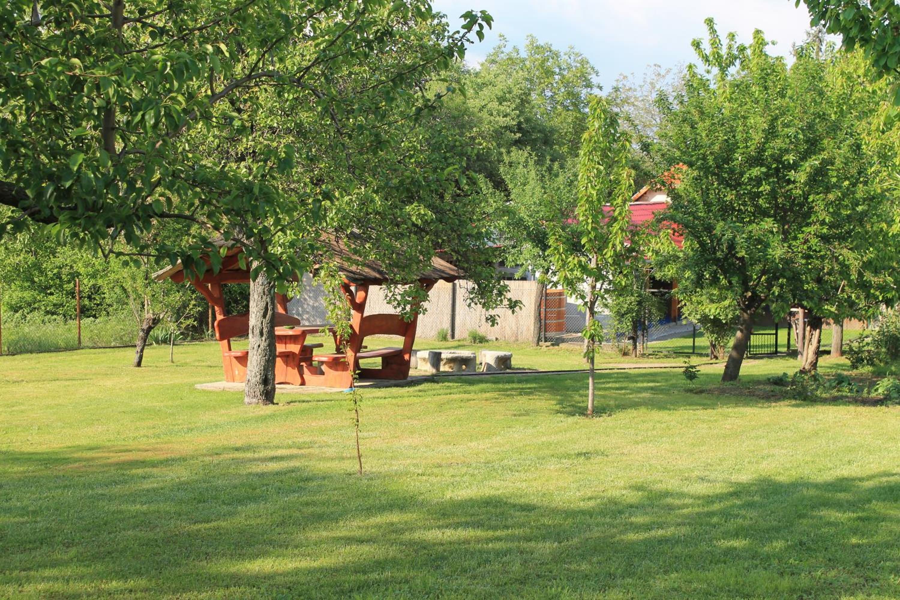Photo 7